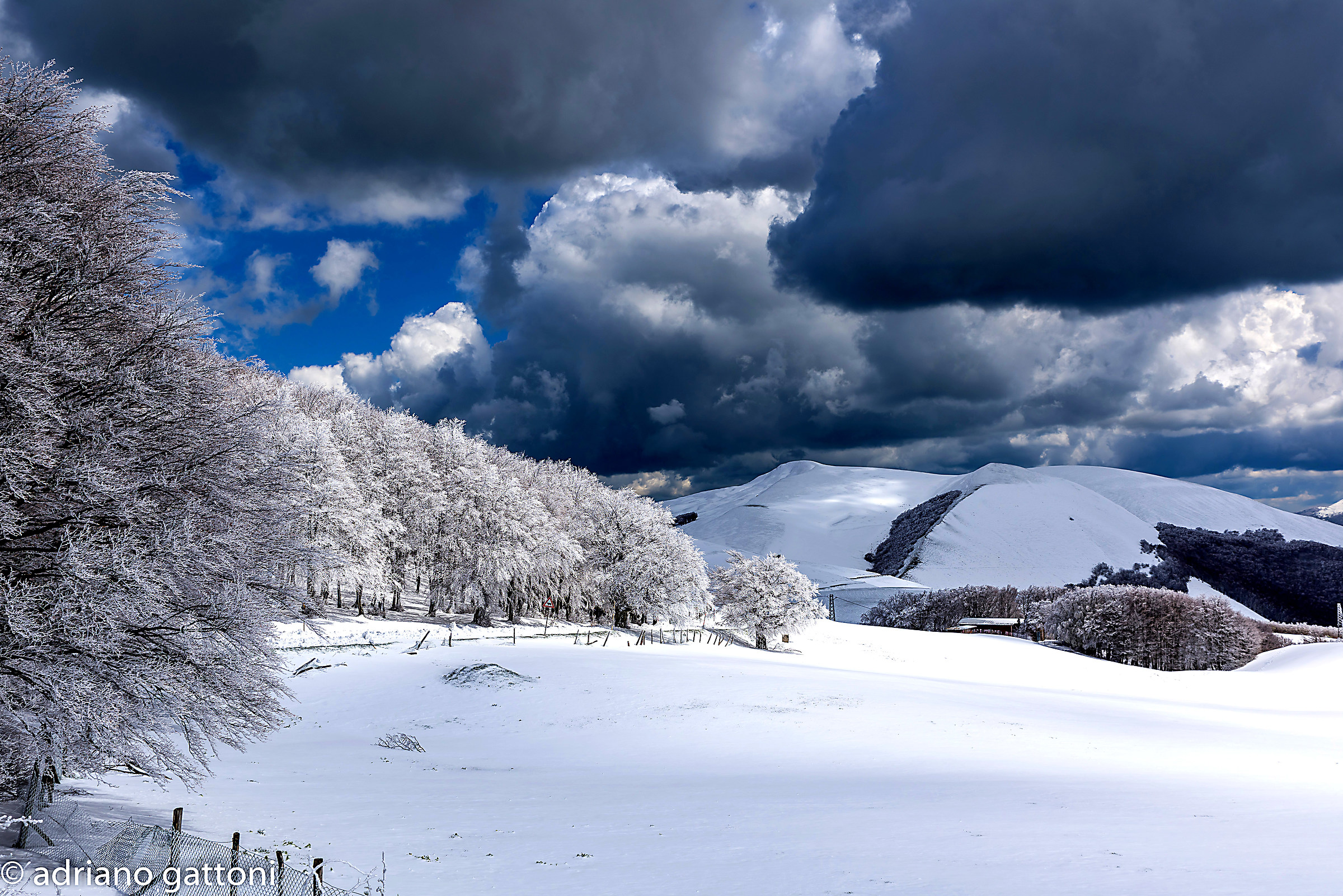 Neve di primavera