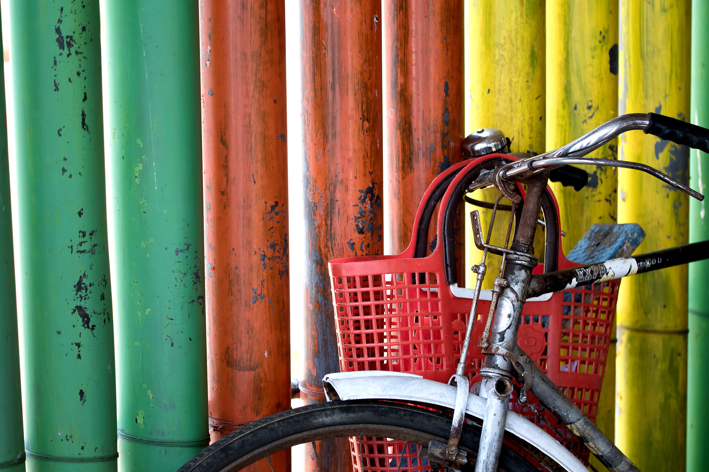 Bici e colori