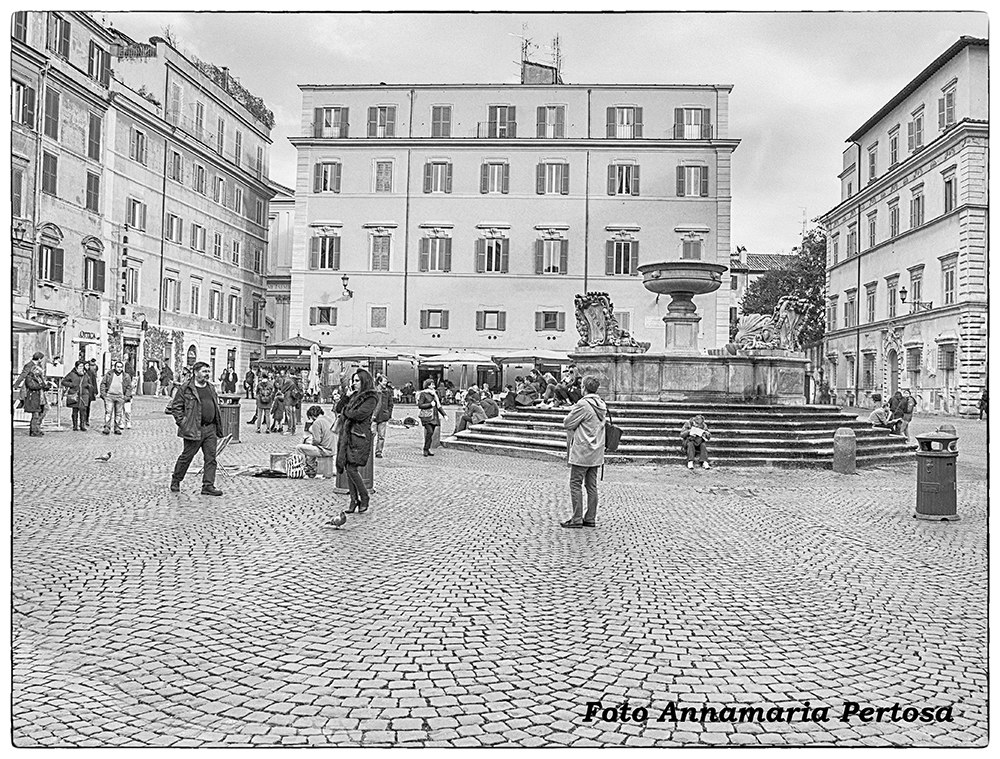 Santa Maria in Trastevere and Bramante fountain