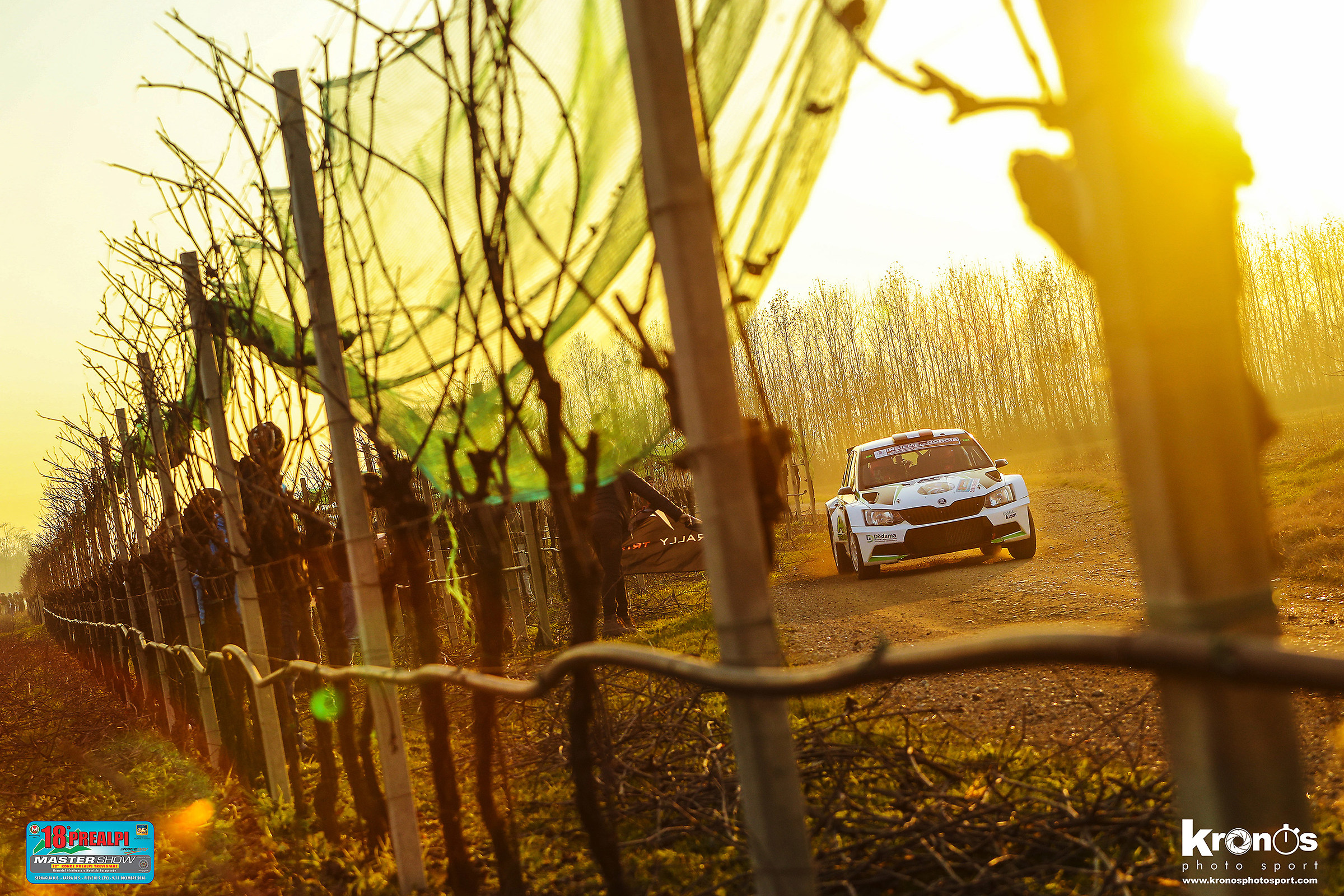 Vineyards in backlight
