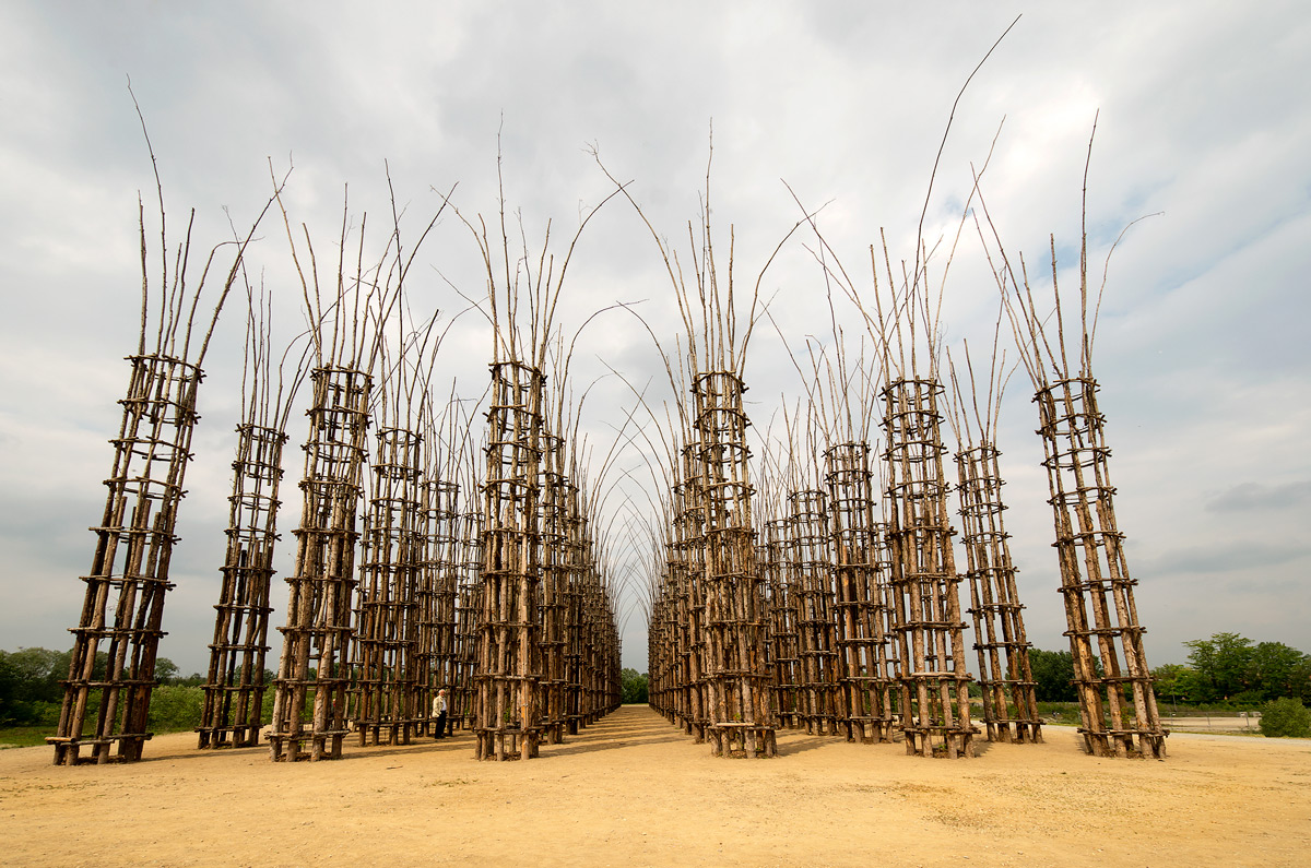 The Botanical Cathedral