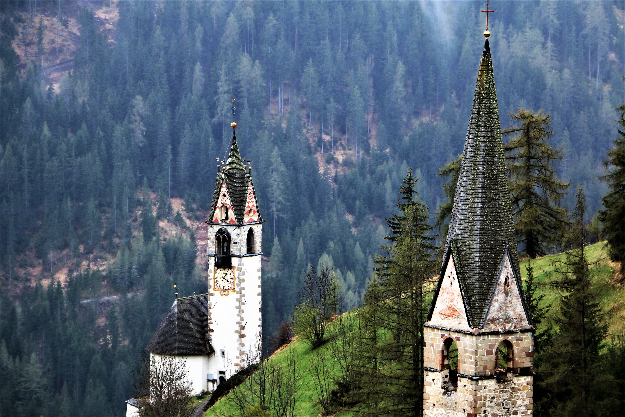 Even one would be enough, but I ......