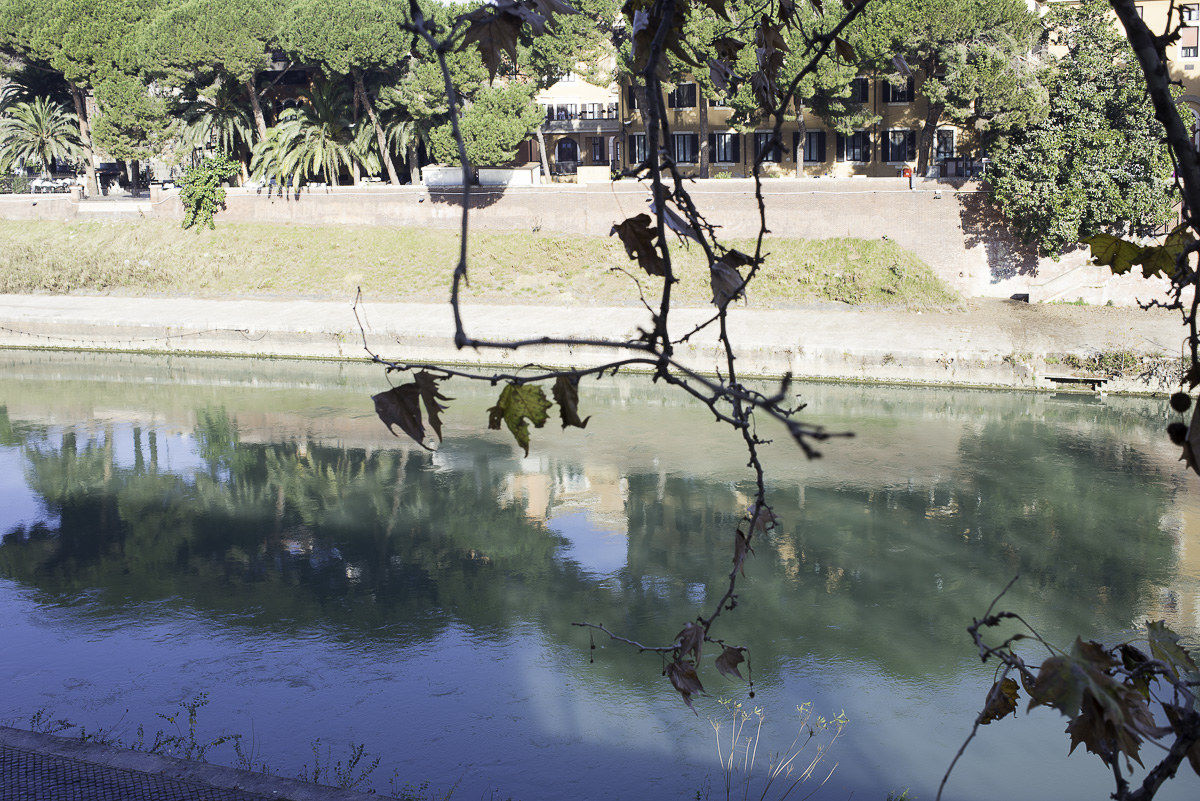 Along the Tiber