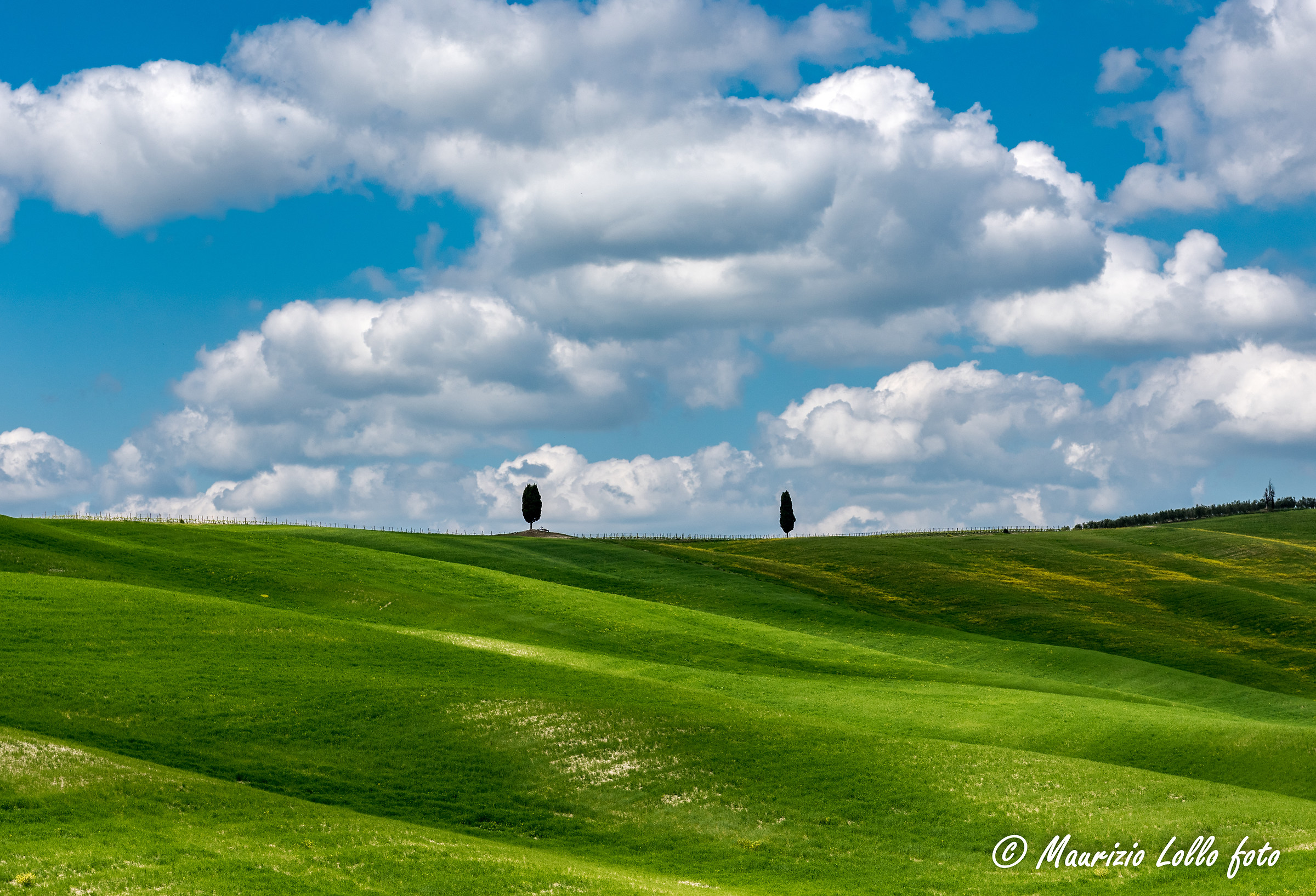 In the Val D'Orcia