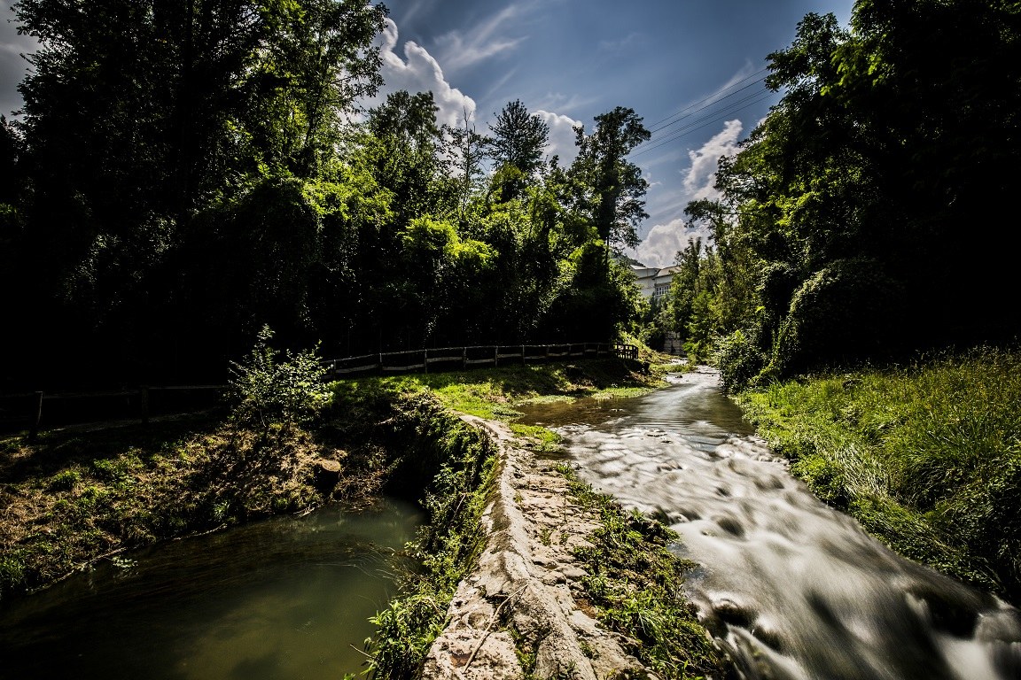 glimpses of the village