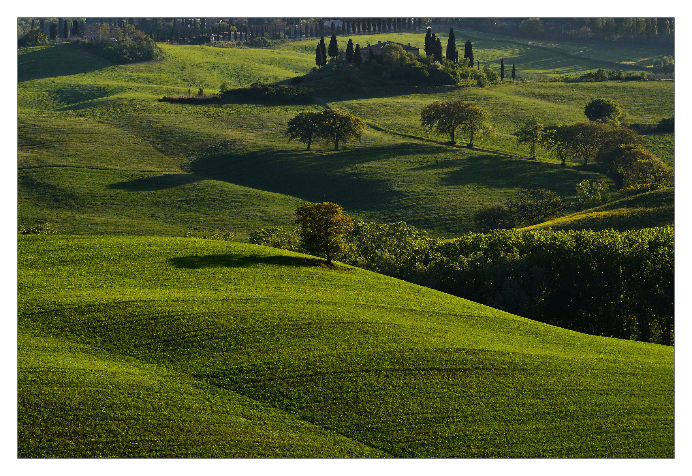 Tuscan Landscape