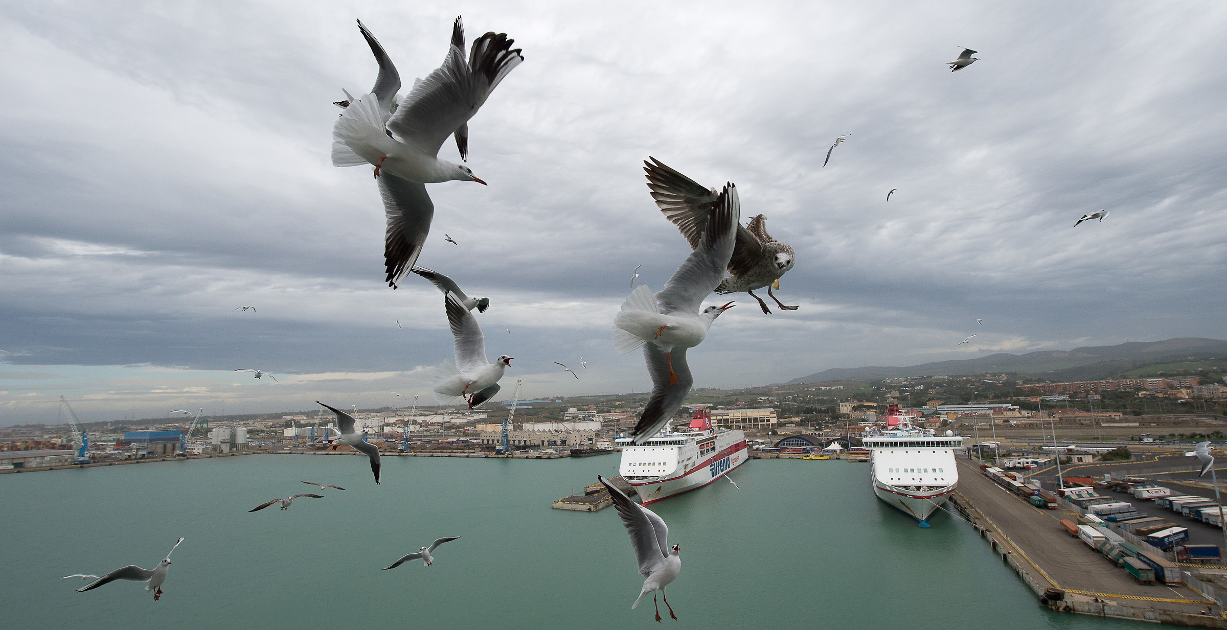 The story is the little fishie fairy tale !!!