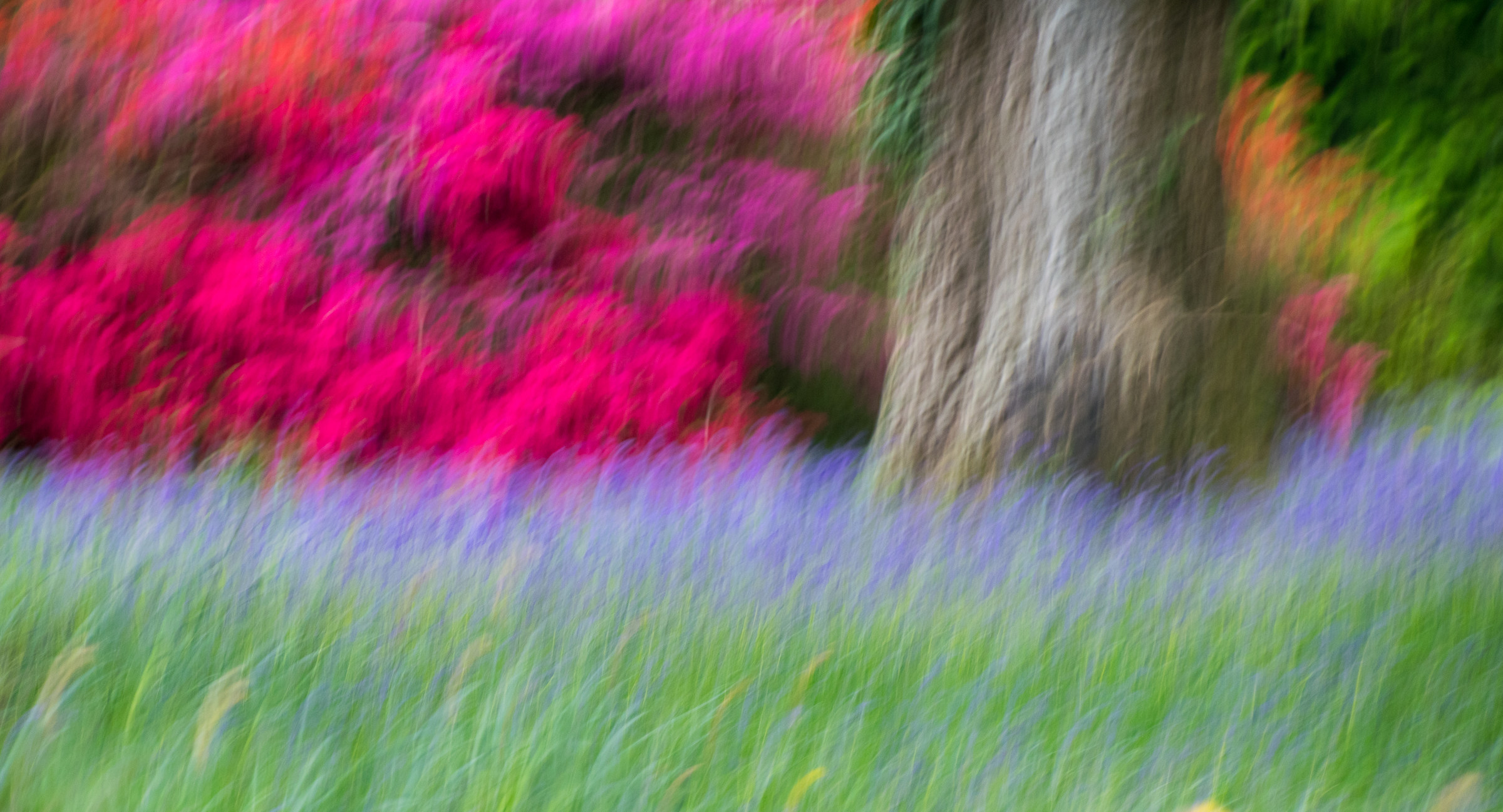 Impressions Of An English Garden