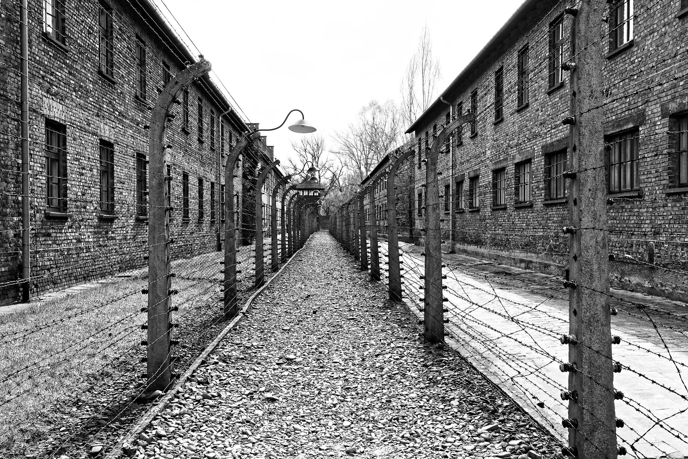 Auschwitz-Birkenau