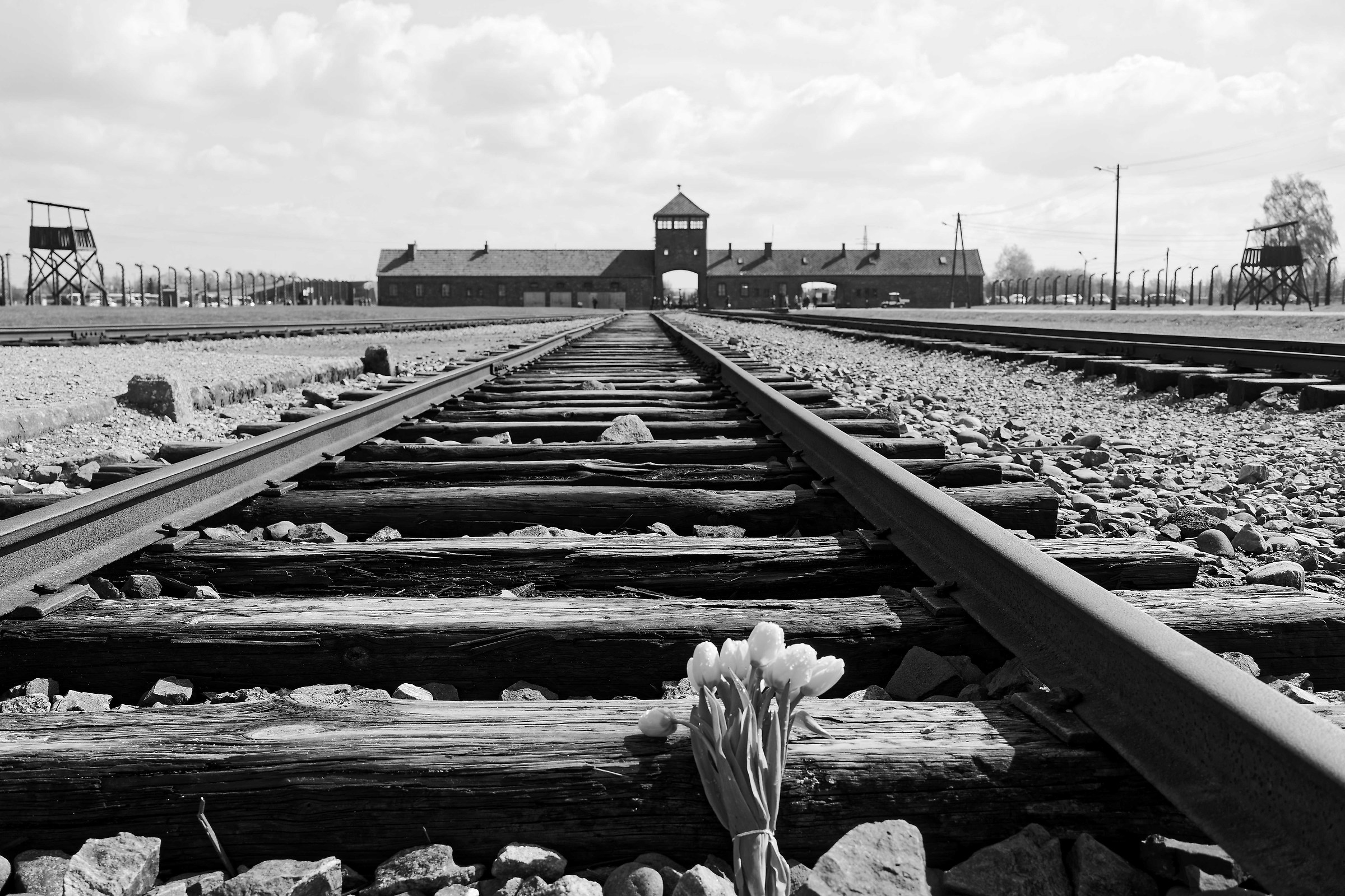 Auschwitz-Birkenau
