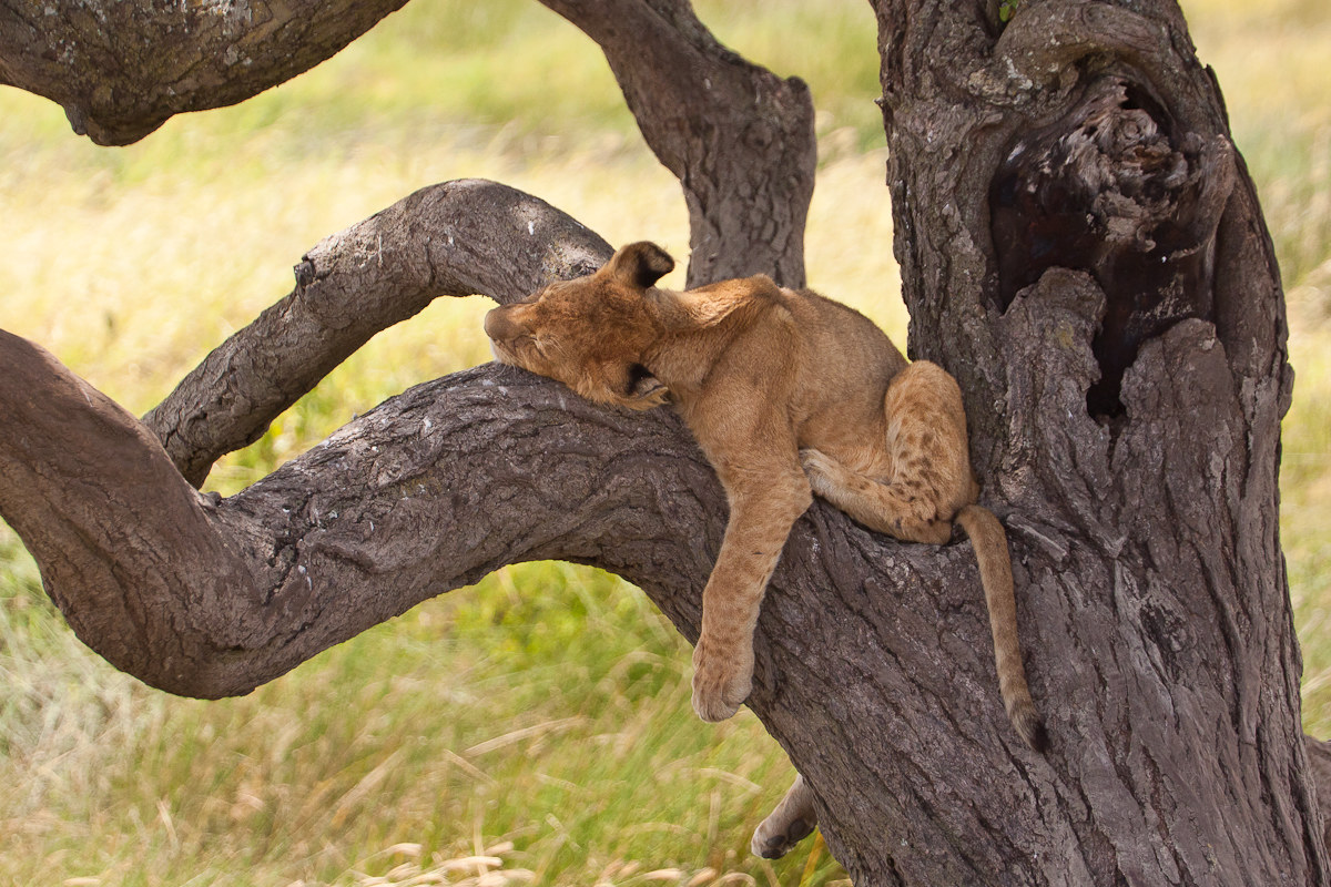 ... When the eyelid falls ...