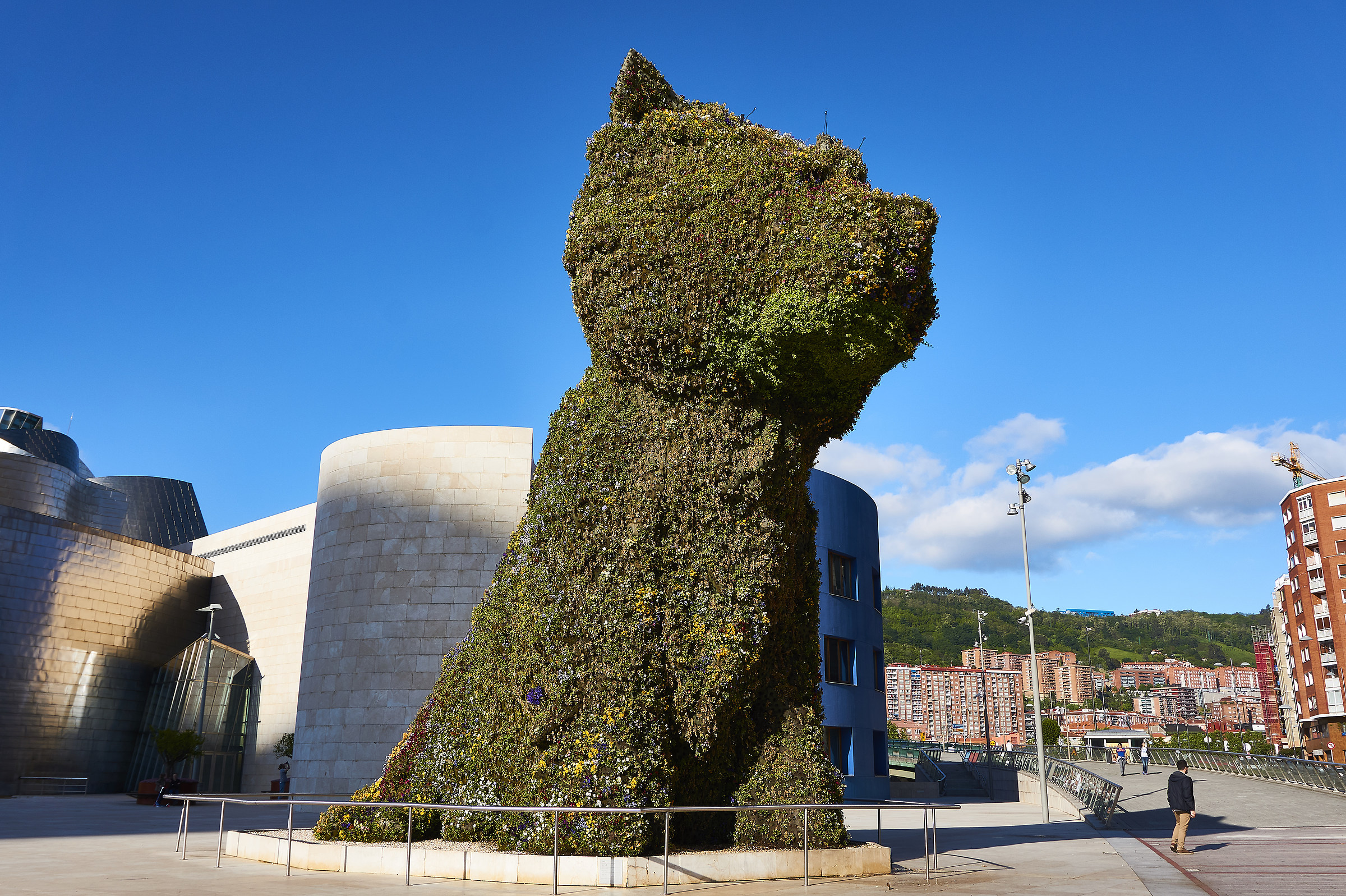 Fauna a Bilbao, #3