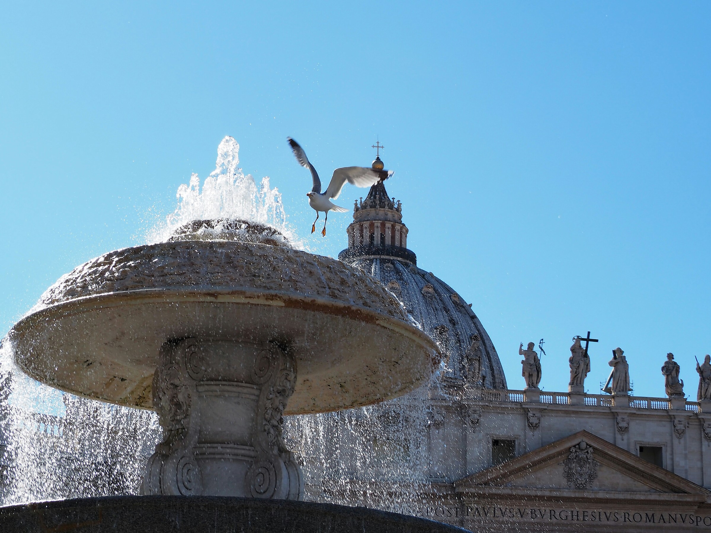 Un'oasi di refrigerio in Santa Sede