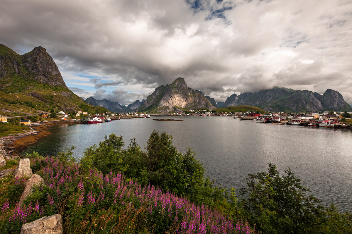 Reine