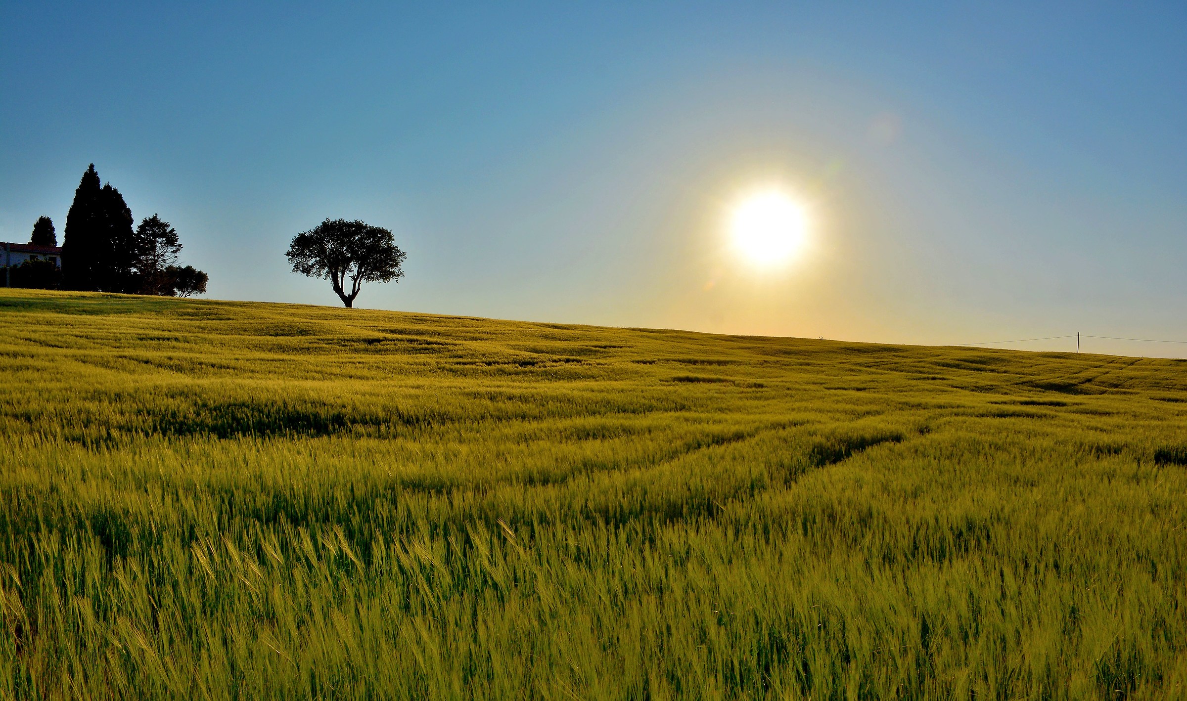 Among the Messengers at Sunset