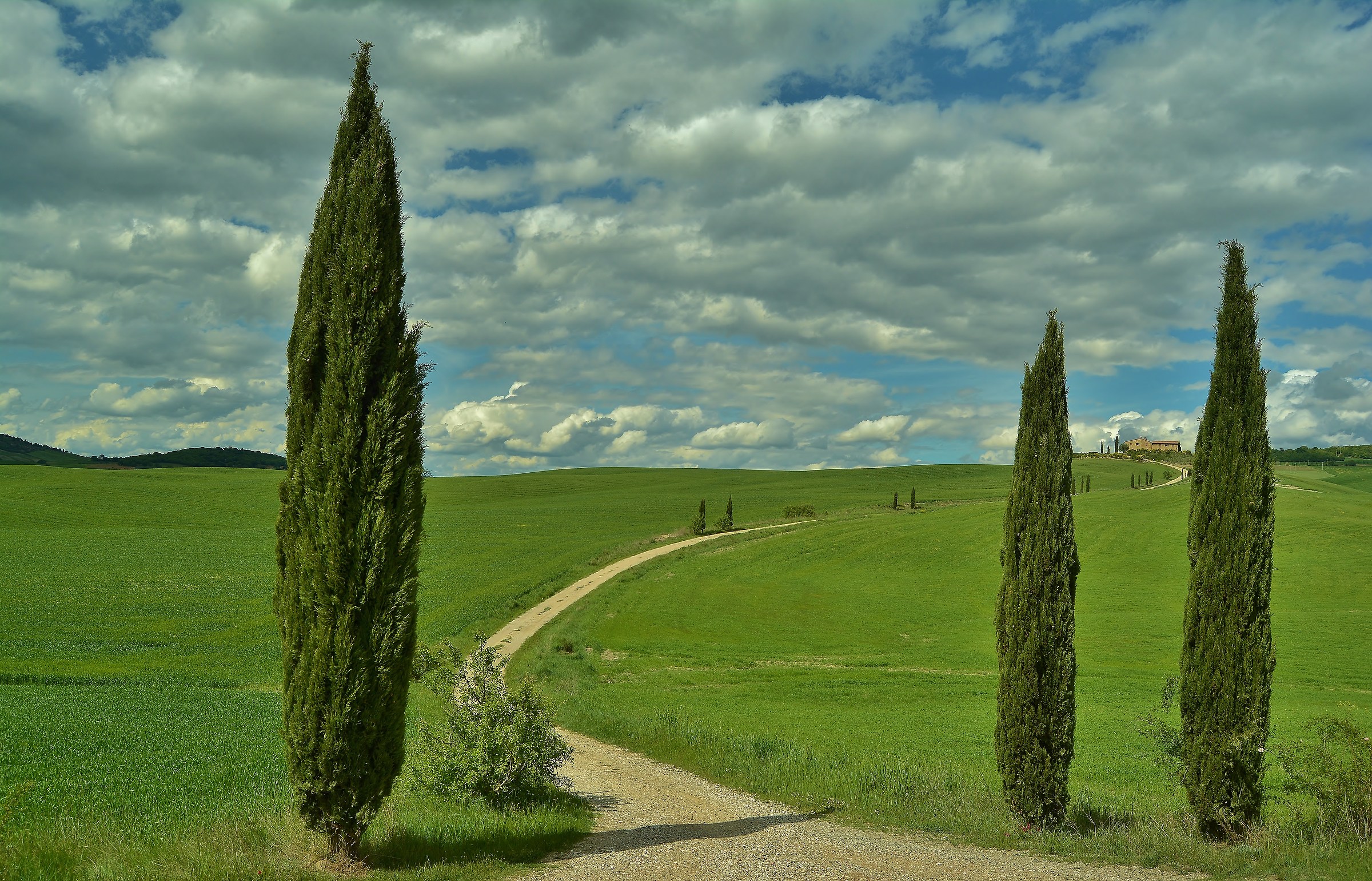 Sbirciando tra i cipressi