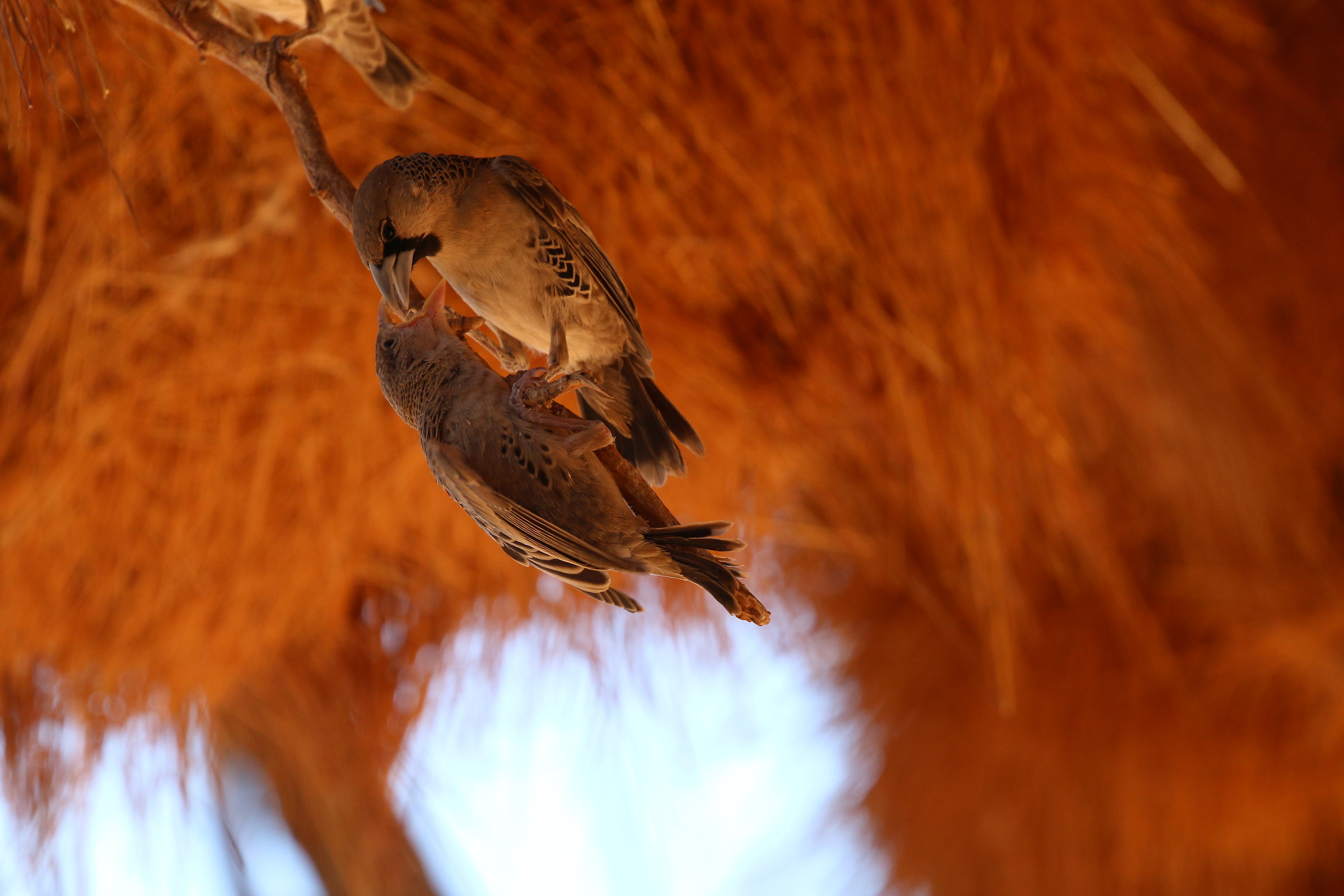 Social bookstore with bottle