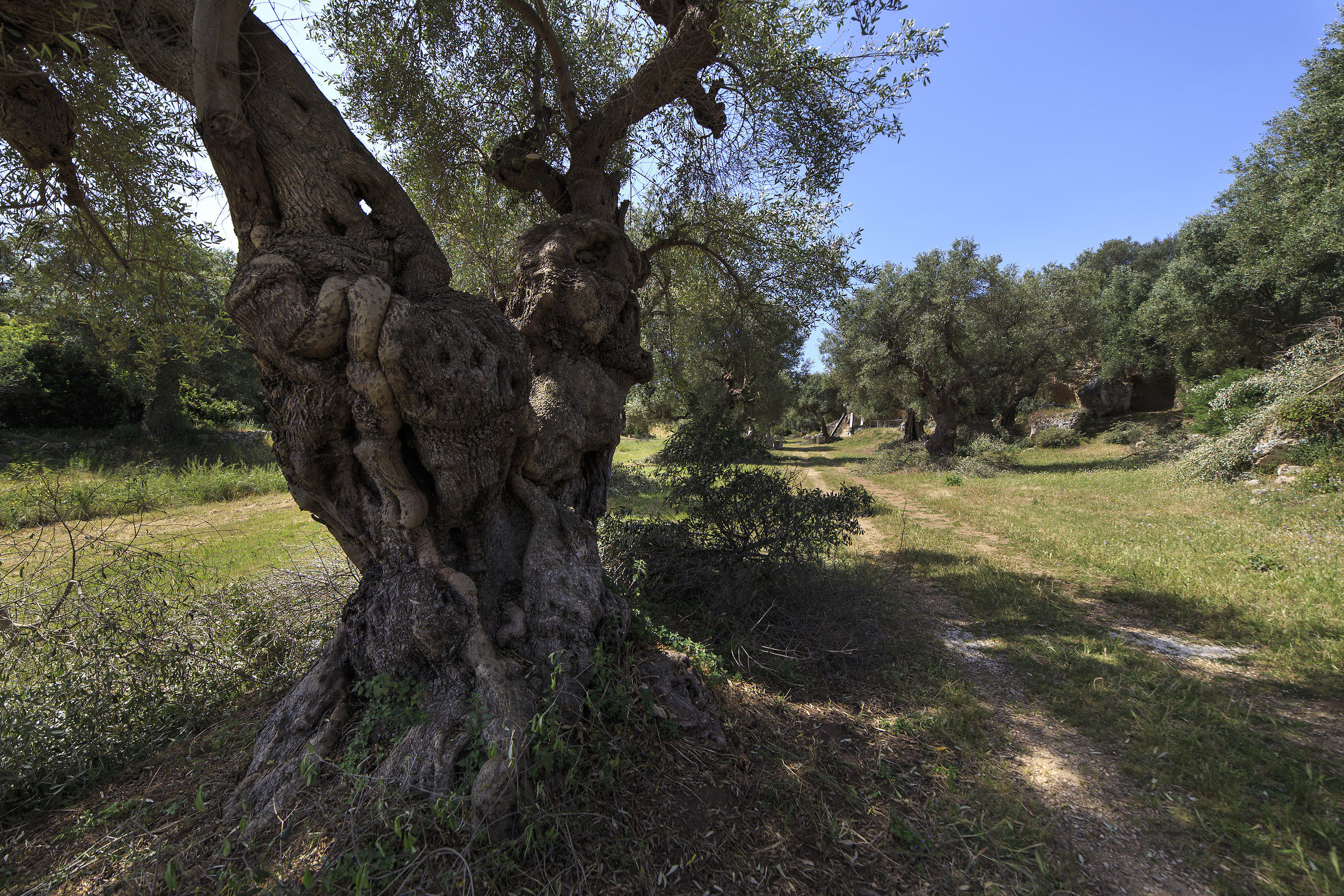 At Lama d'Antico park