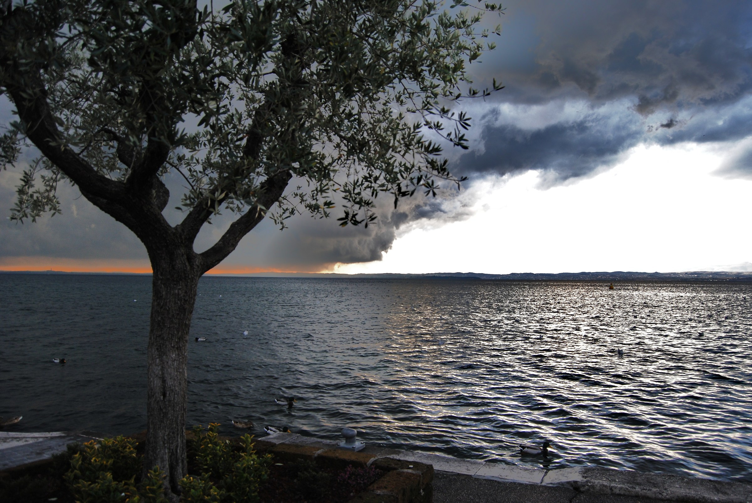Lago di Garda - Arriverà la tempesta?