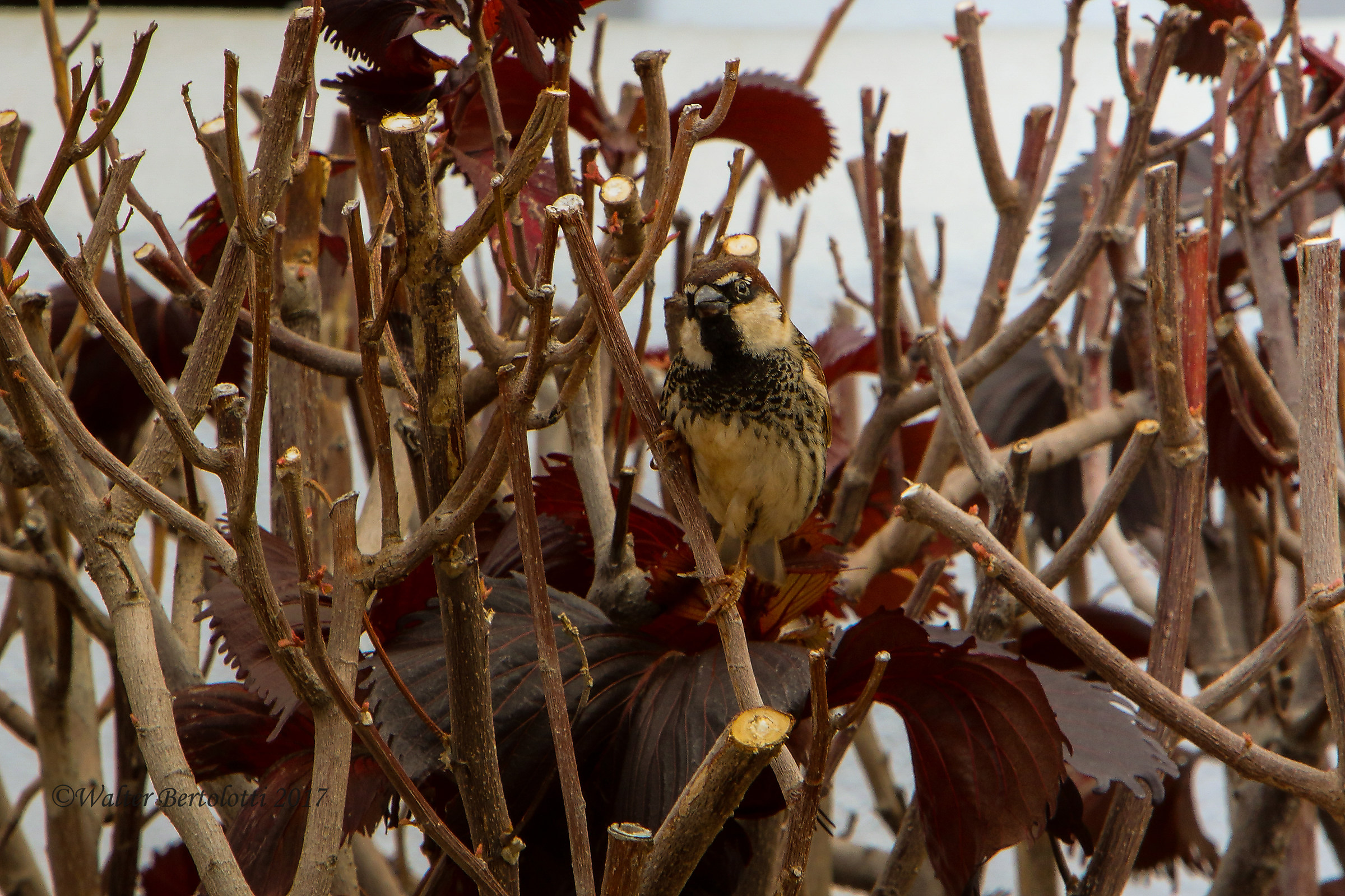 ... you look at me, but I look at you