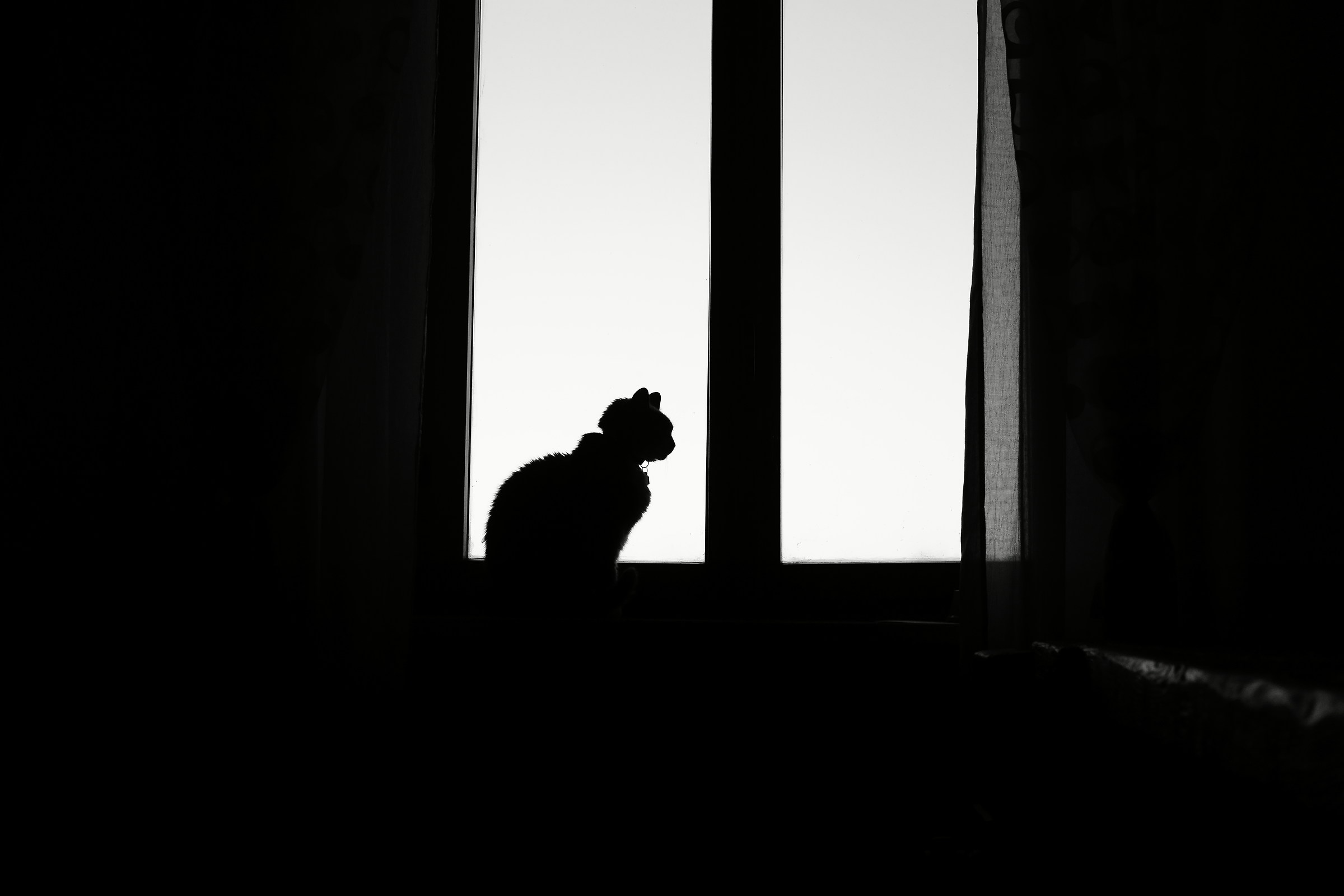 silhouette