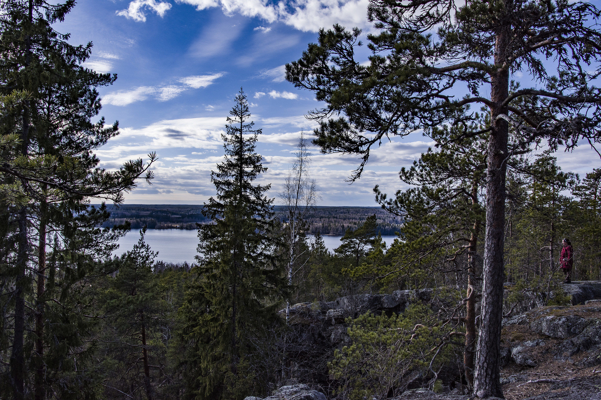 My lovely wife... :)