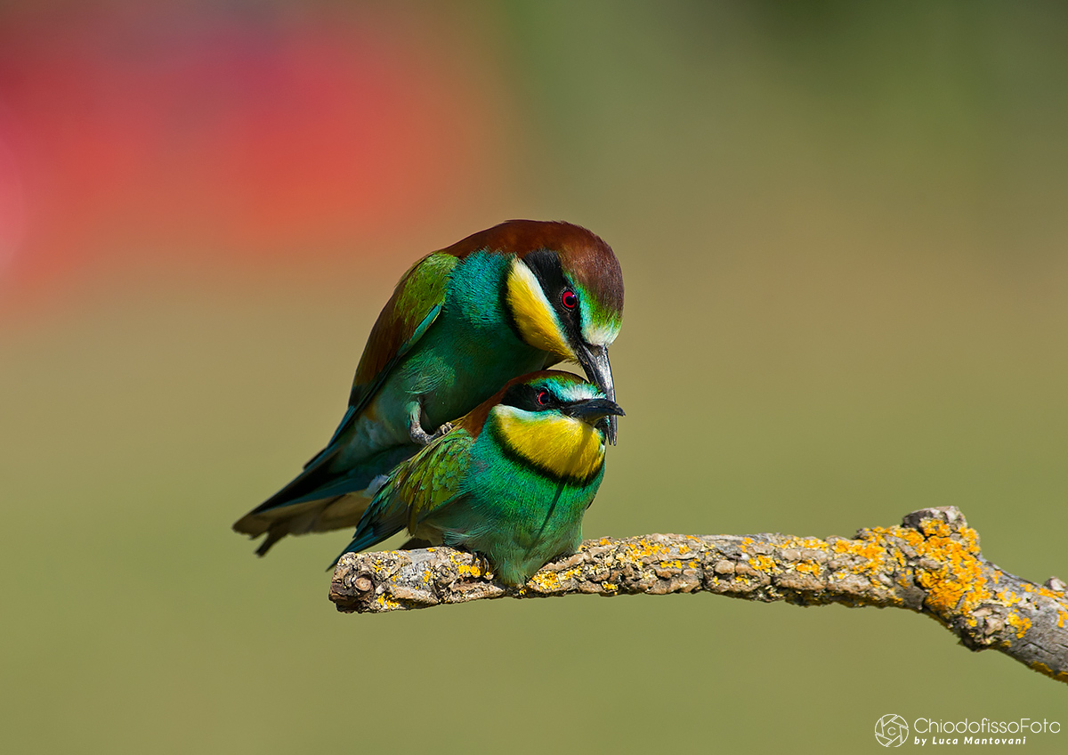 Gruccioni. Ricordi 2015, in attesa che arrivi il sole!
