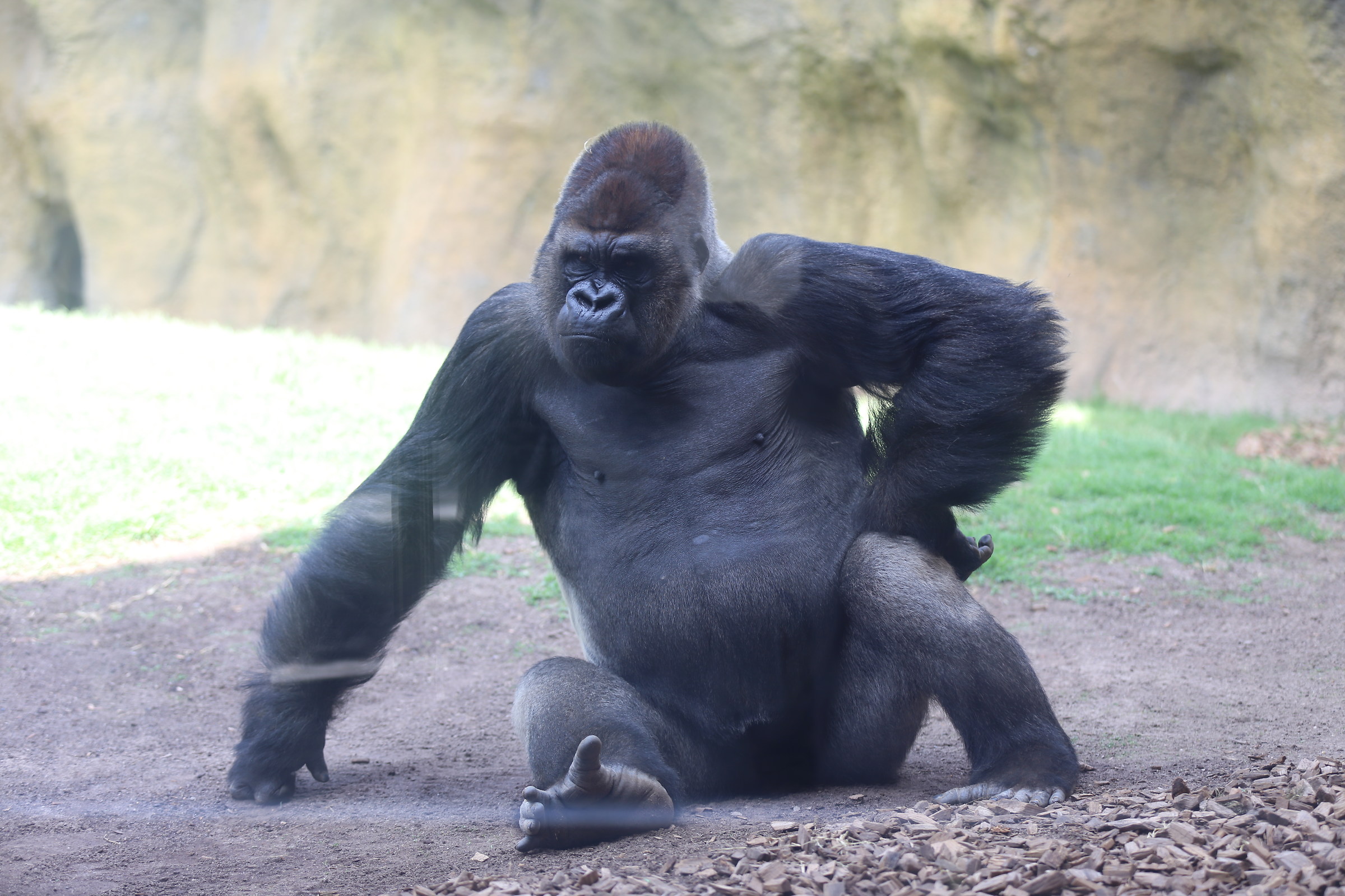 In posa per lo scatto..