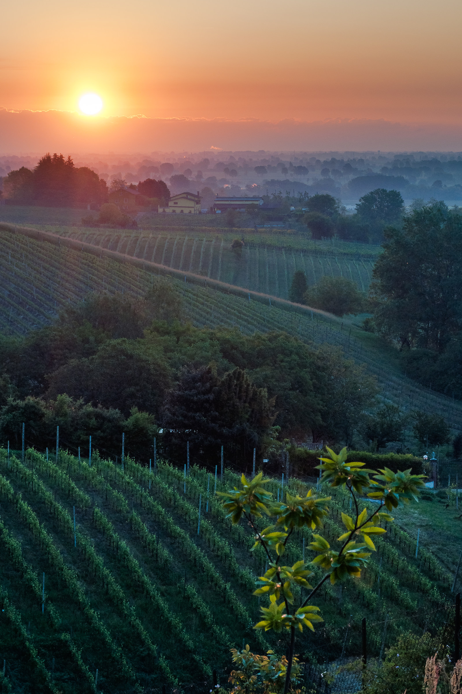 Sunrise from the hills of San Colombano al Lambro (mi)