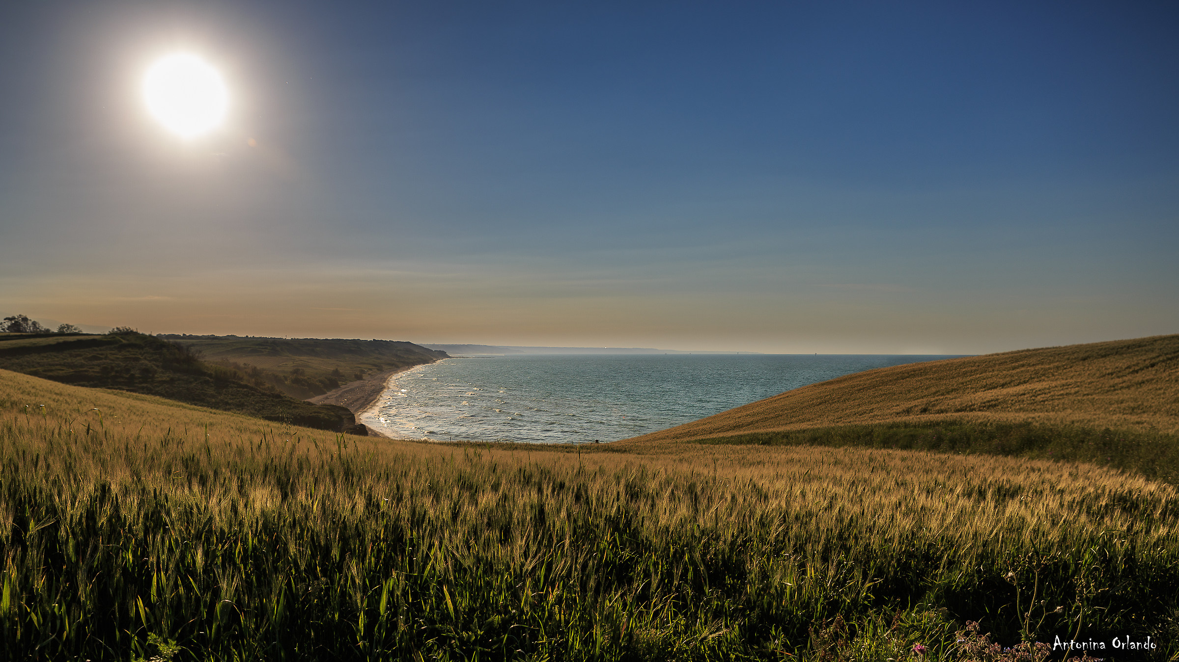 Riserva naturale di Punta aderci