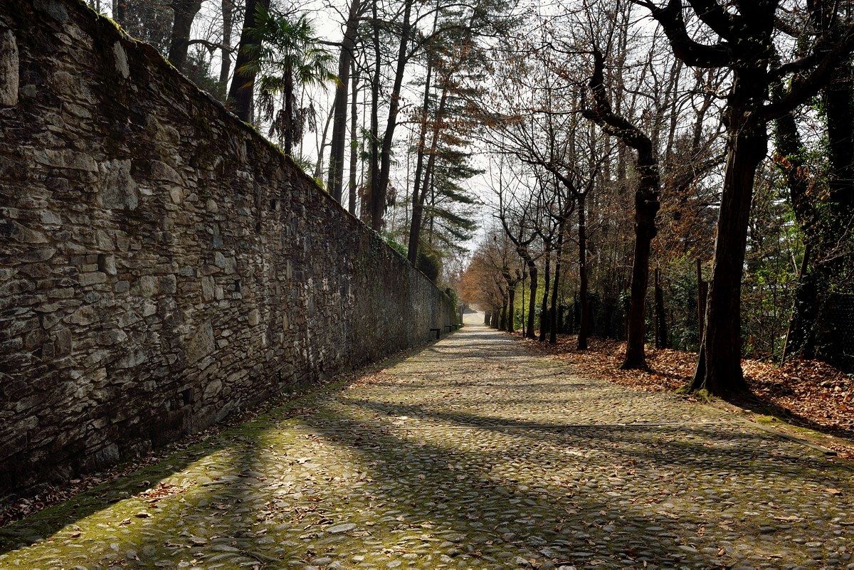 A quiet and quiet boulevard.
