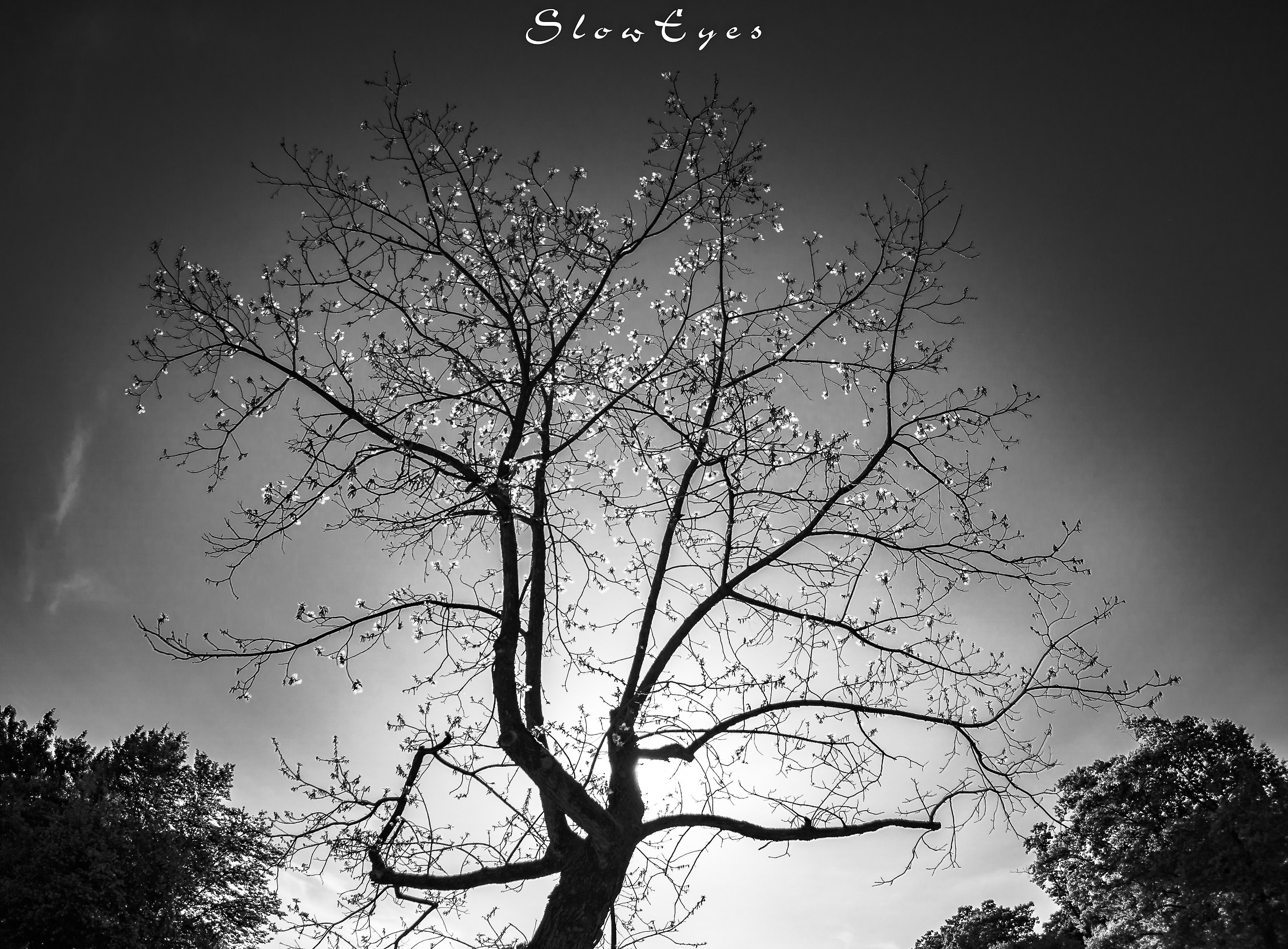 Powered by energy ... solar