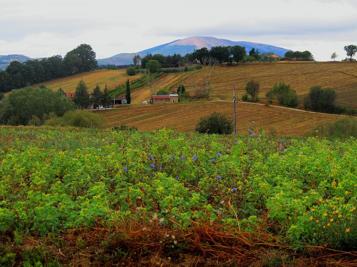 la fine dell  'estate