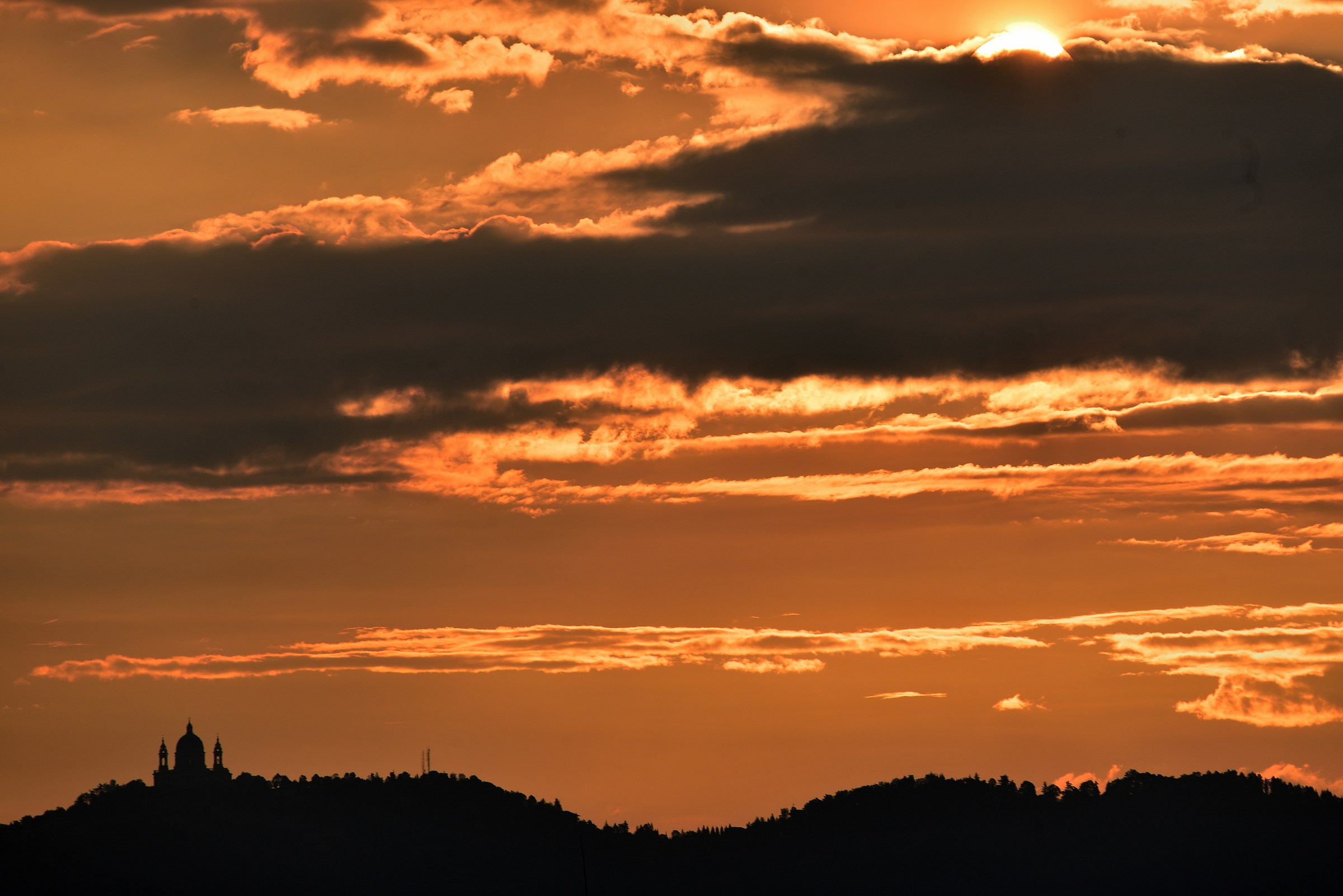 Superb at dawn ... or almost