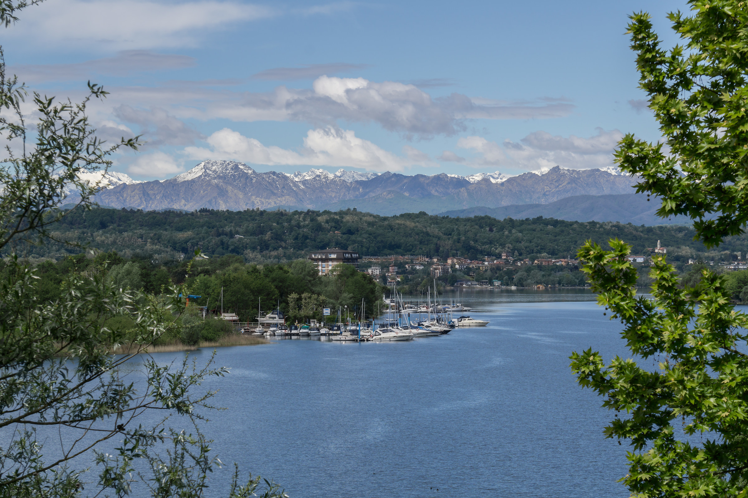 Tarda mattinata dell'8 maggio 2017 - 2