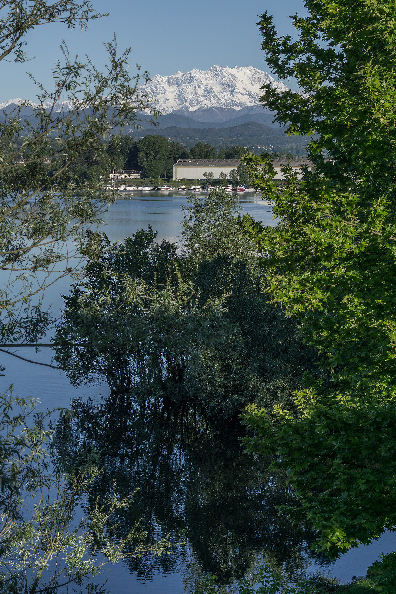Primo mattino del 9 maggio 2017 - 1