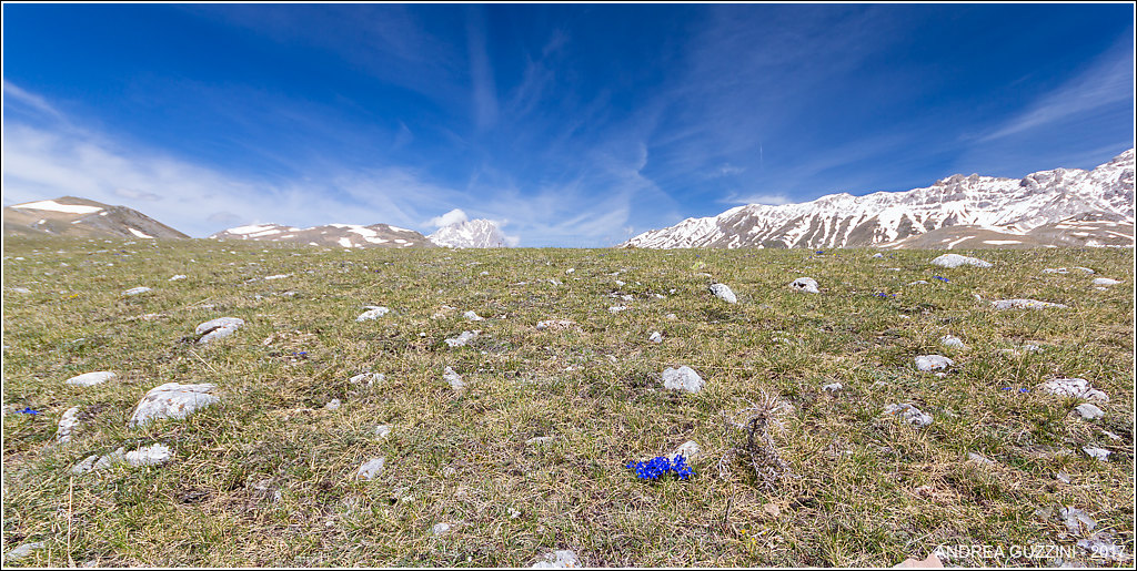 A point of blue (Emperor Field)