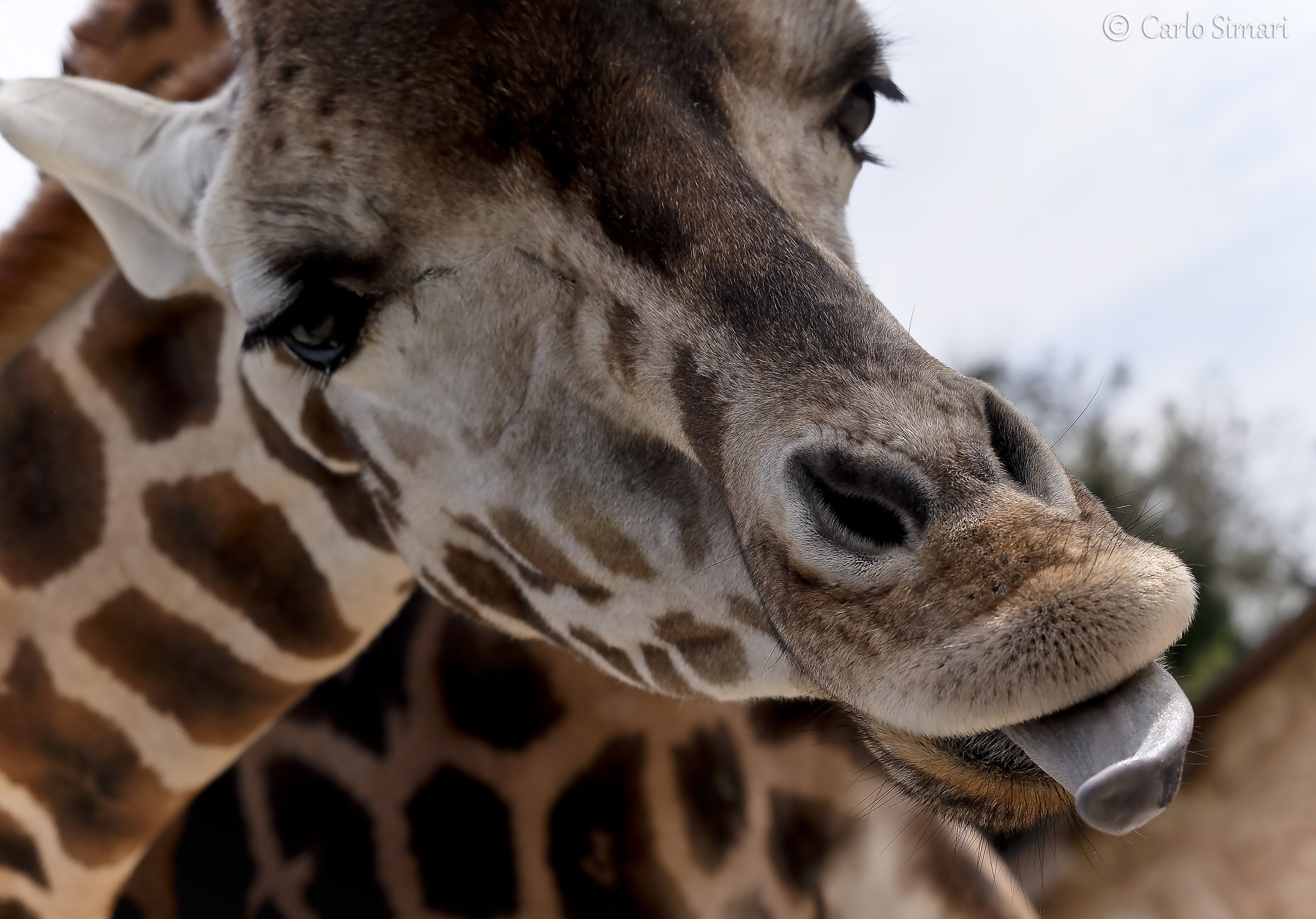 I want the icecream!