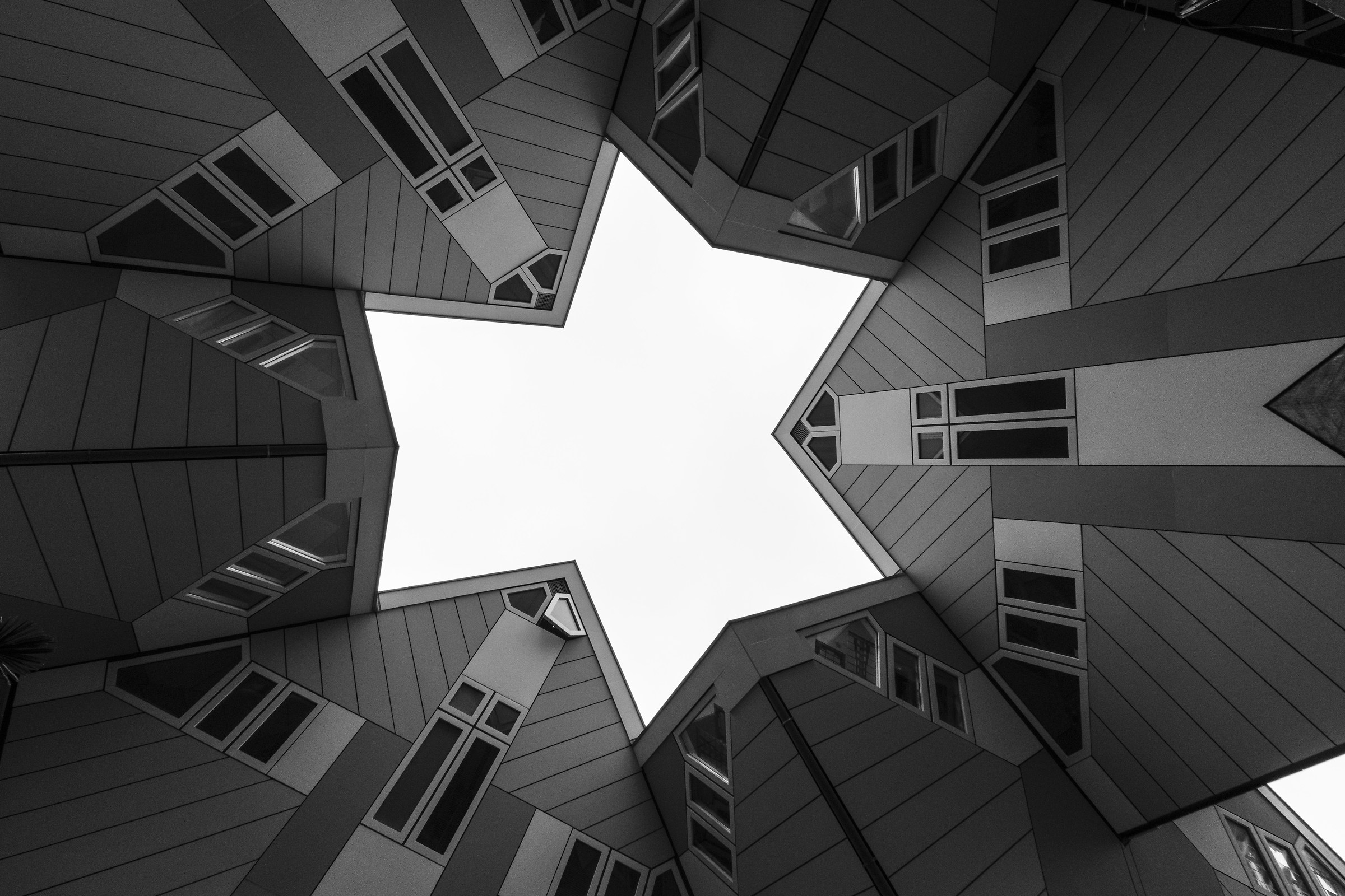 Case quadrate a Rotterdam