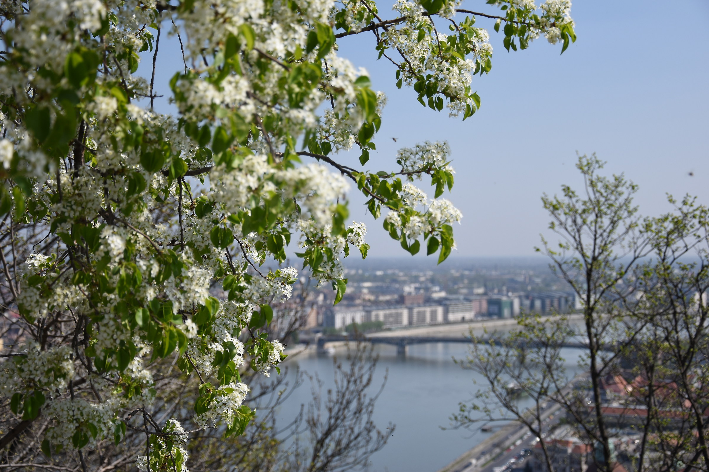 View from the Citadel