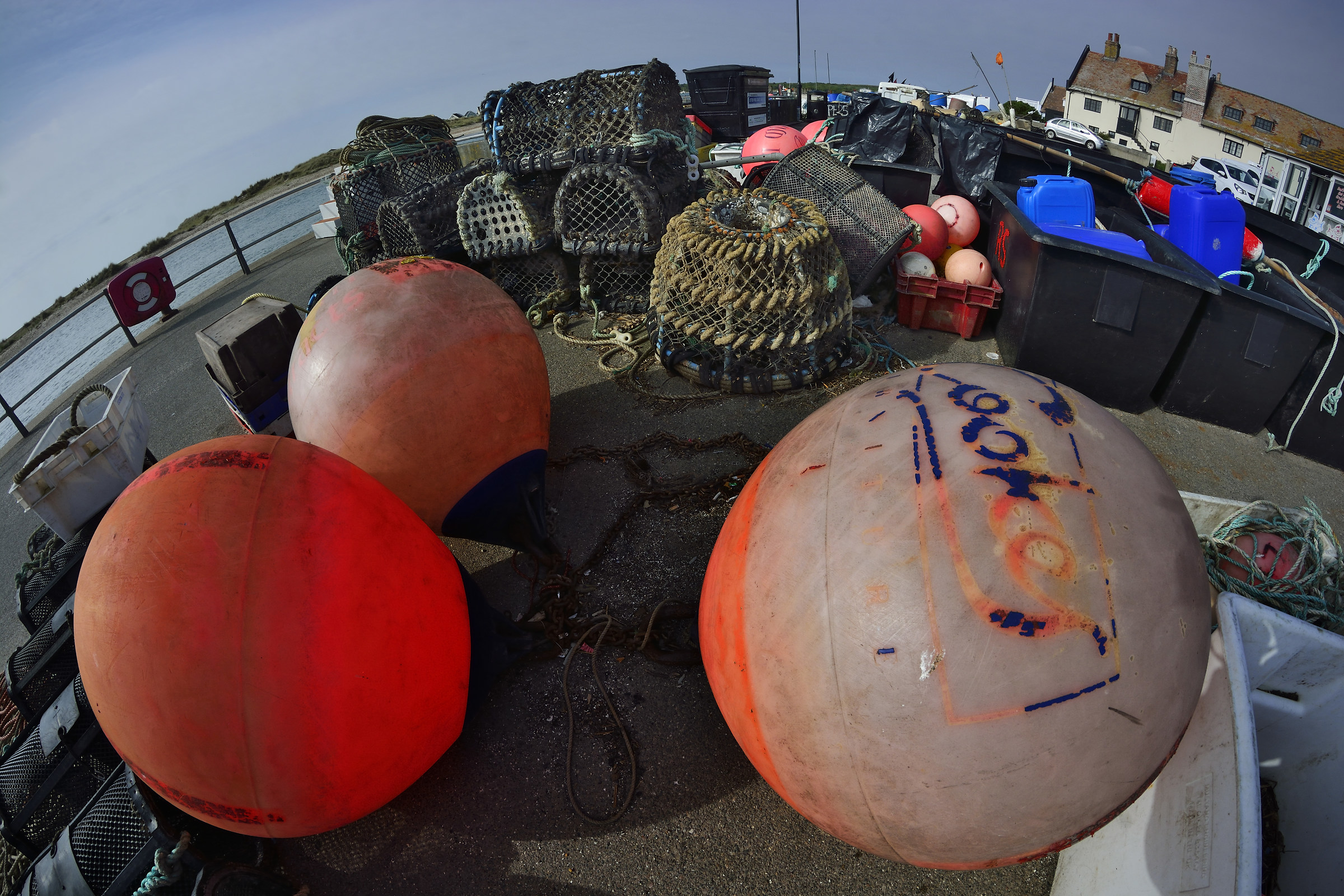 Dopo che la cattura è stata sbarcata