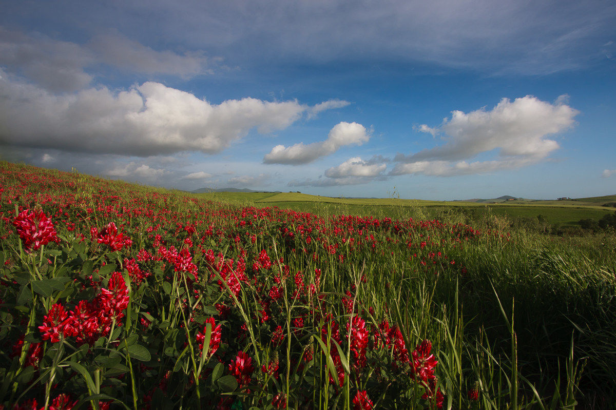 The Spring of Santa Luce ...
