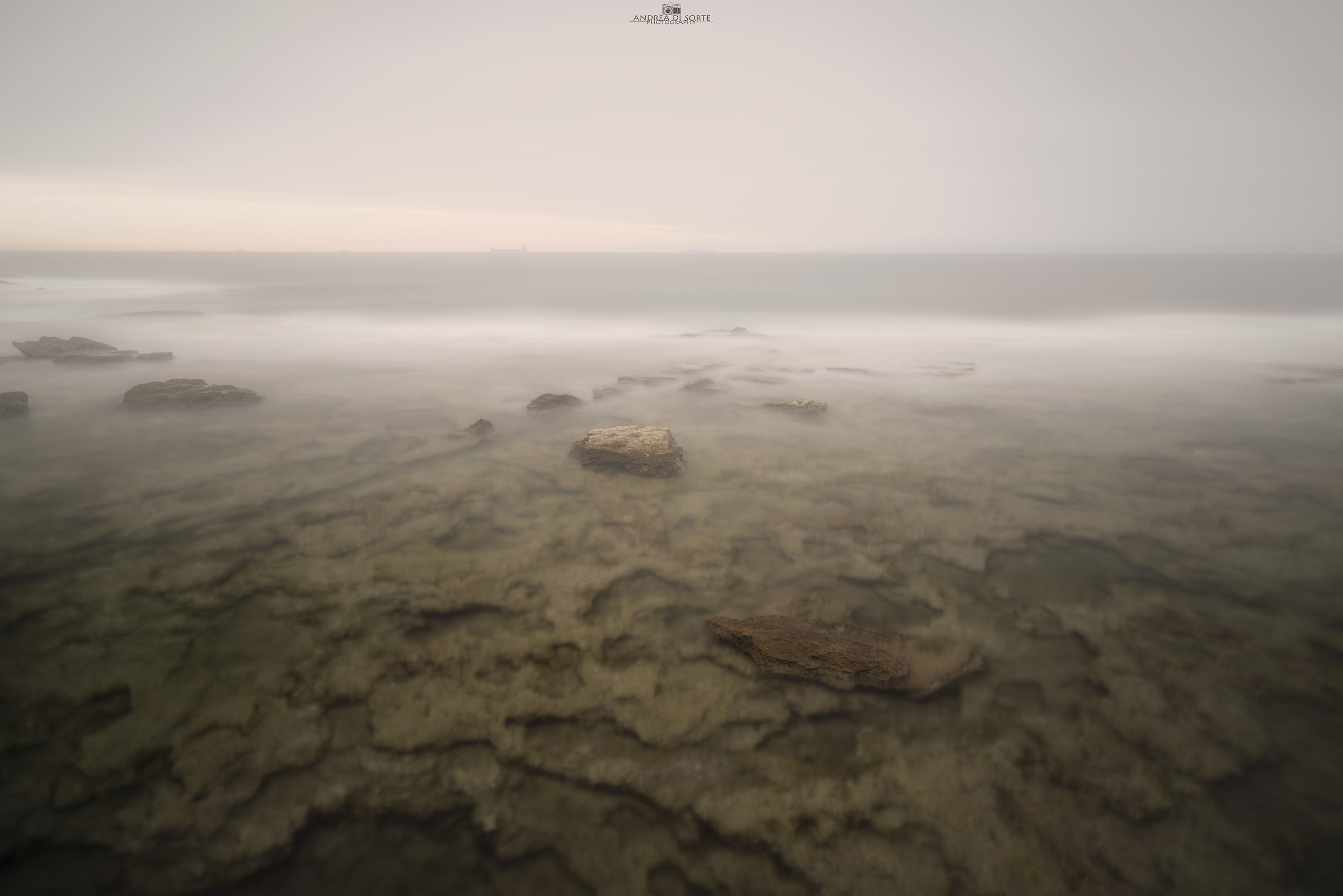 Foggy day in Livorno