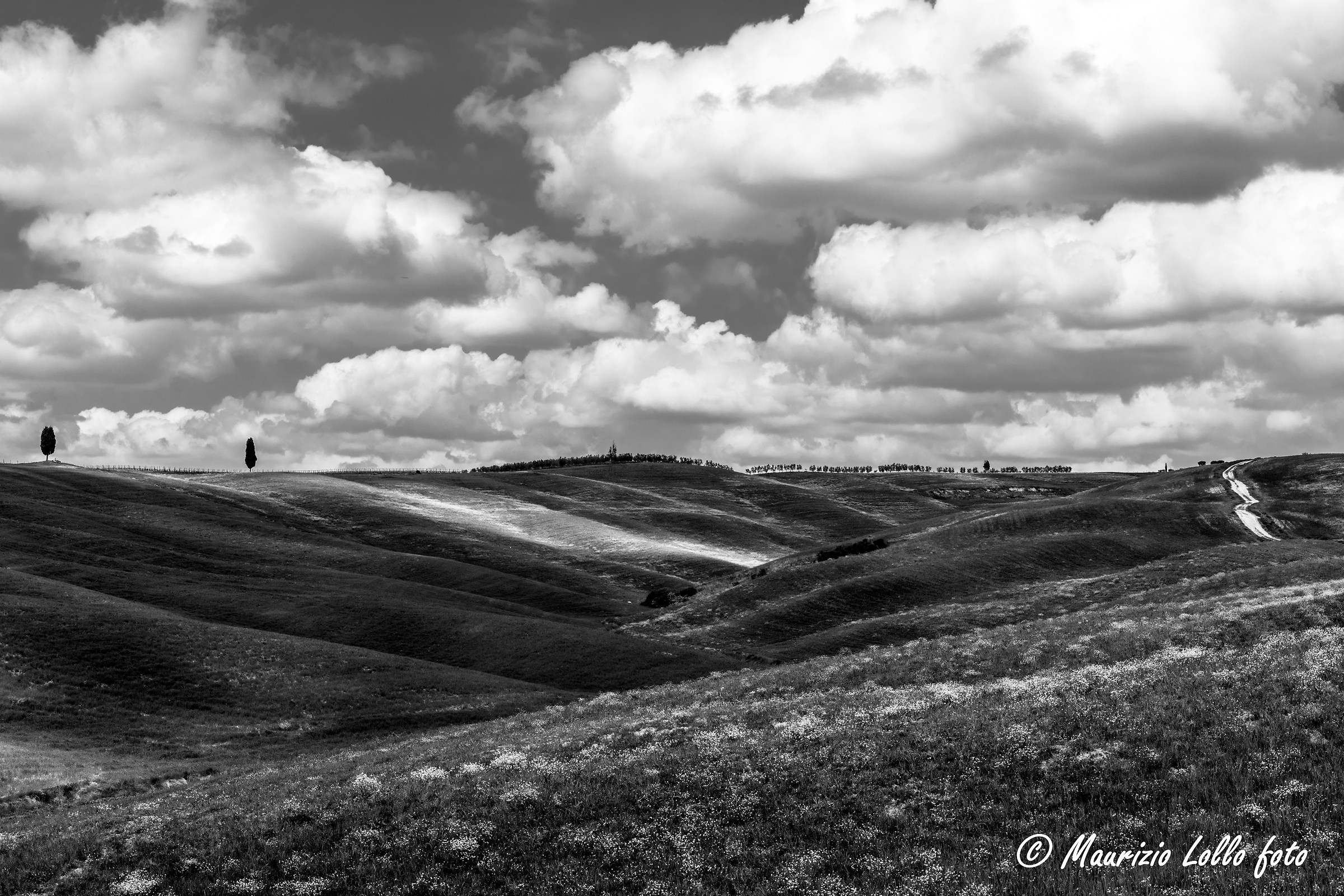 Val D'Orcia ... Enlarging in b / n