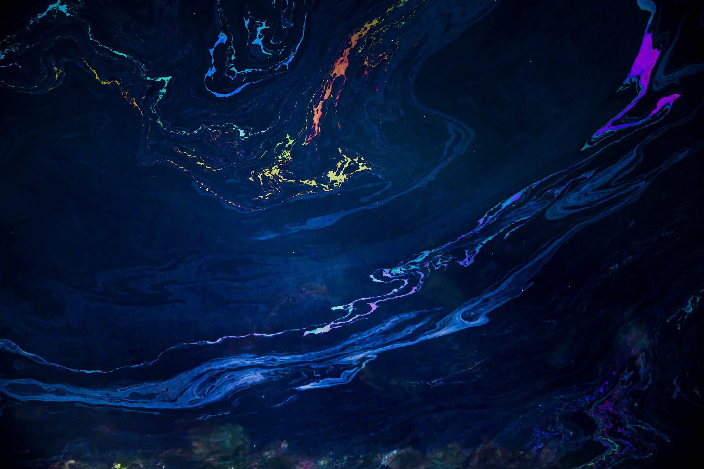 La danza dei colori.