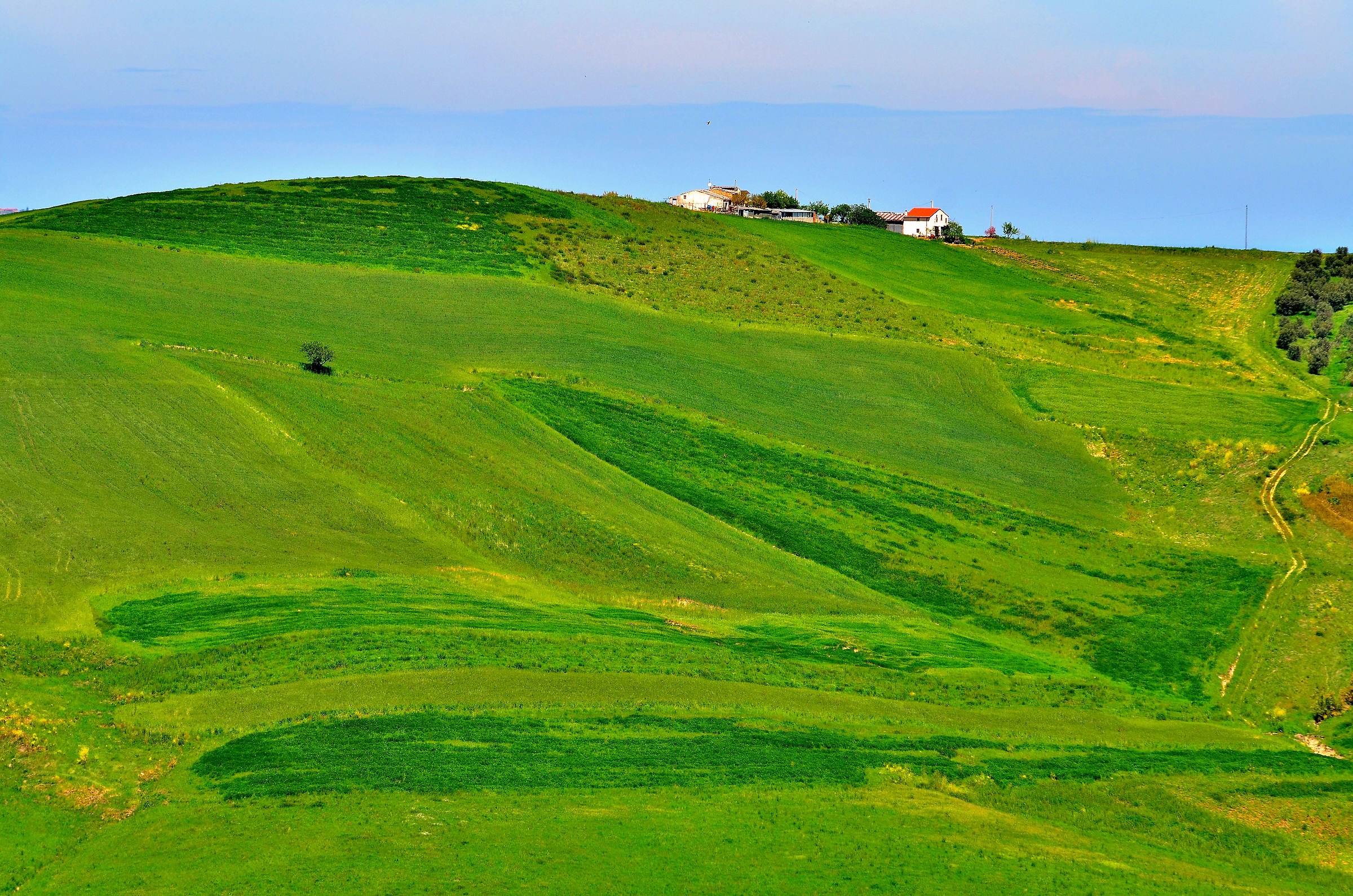 Pennellate di Natura