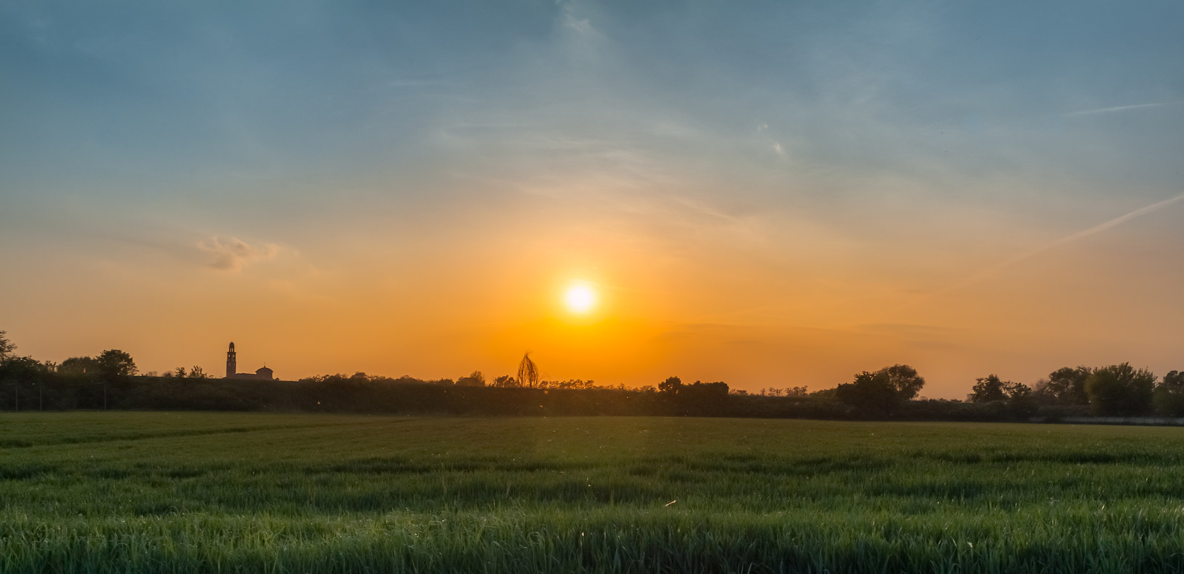 Pollen La Tempesta!!!