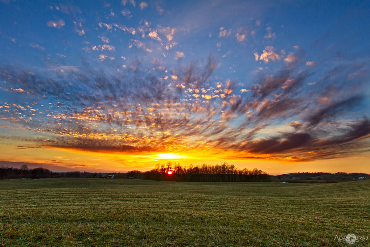 Nel giorno successivo