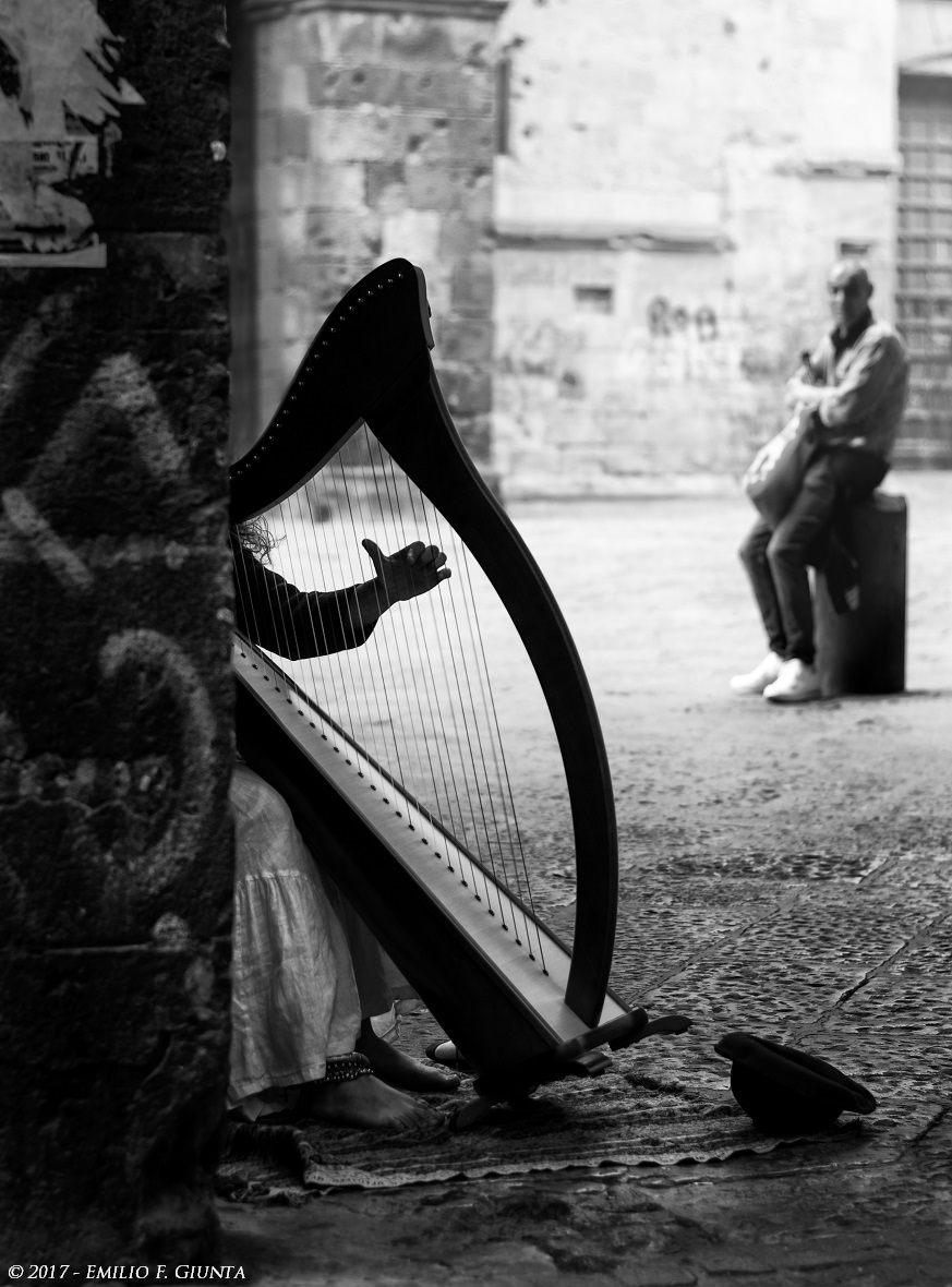 The harpist
