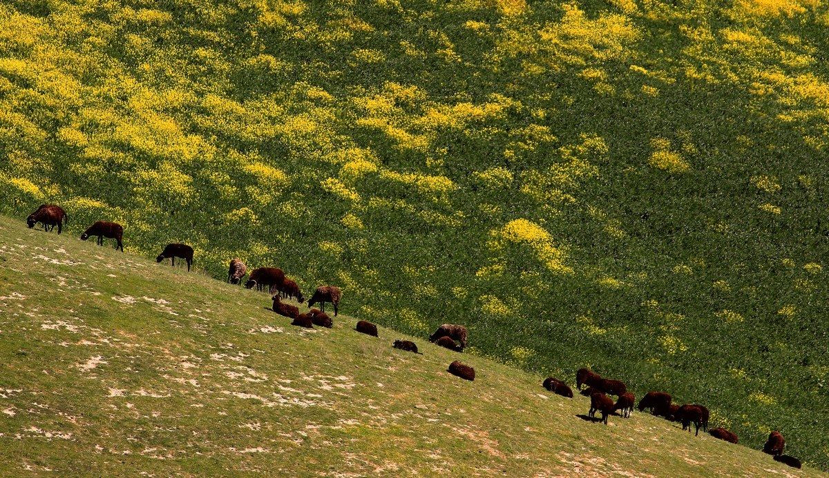 Purgatory and paradise ....